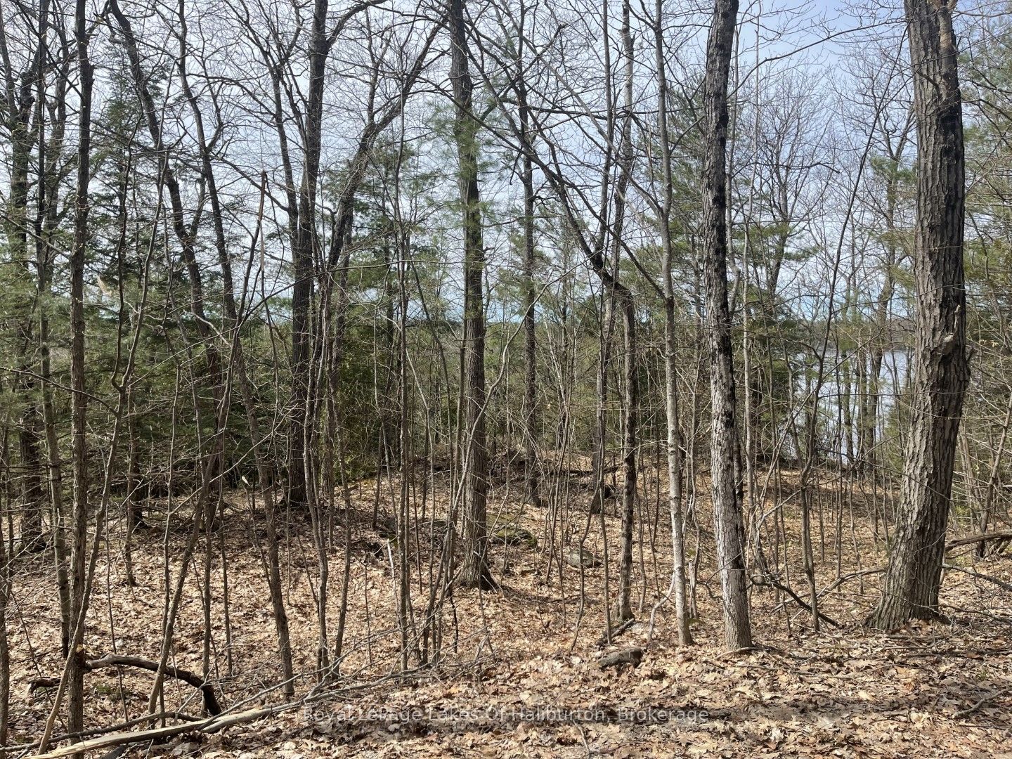 0 Starlight Road Property Photo 17