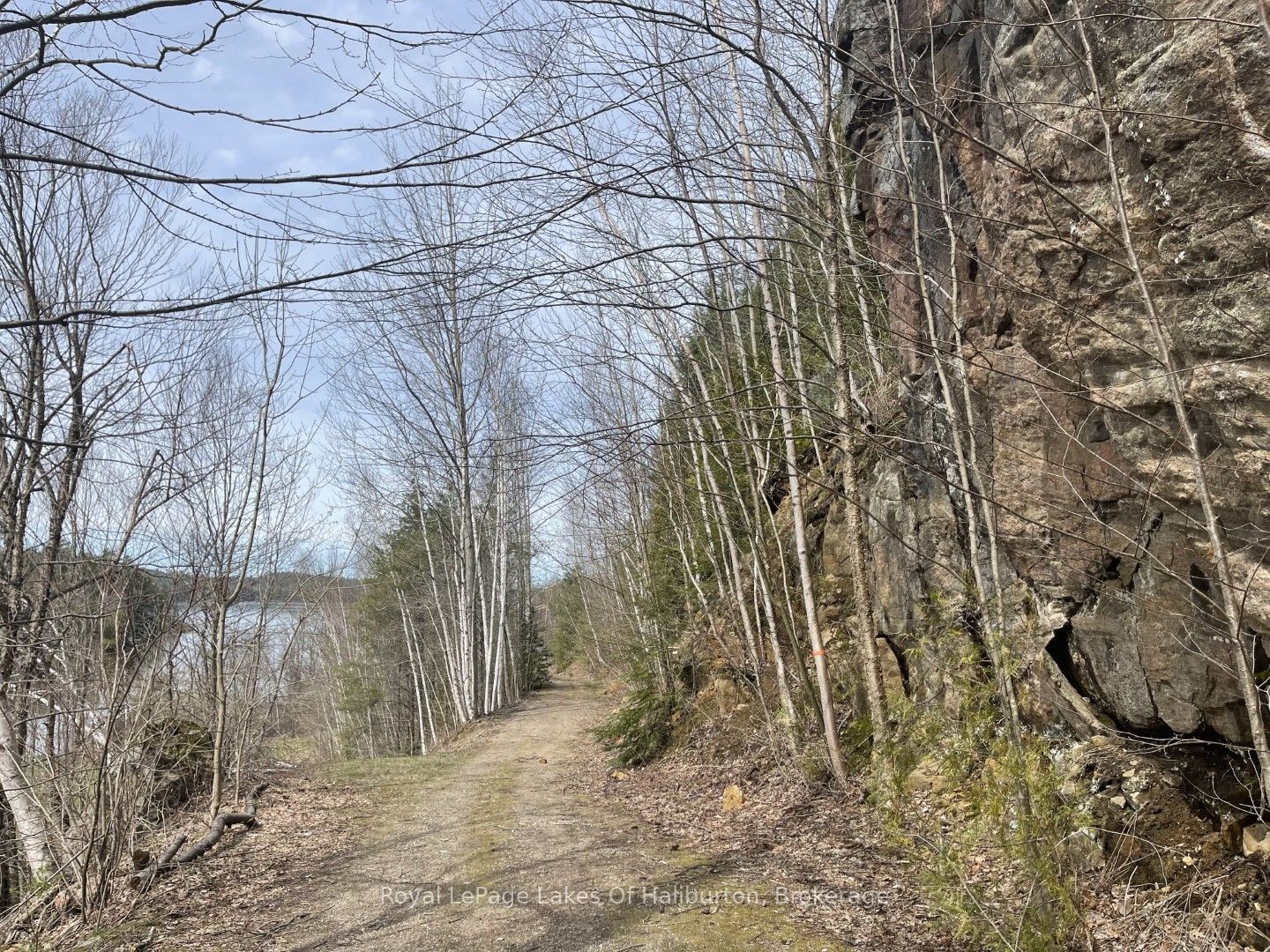 0 Starlight Road Property Photo 19