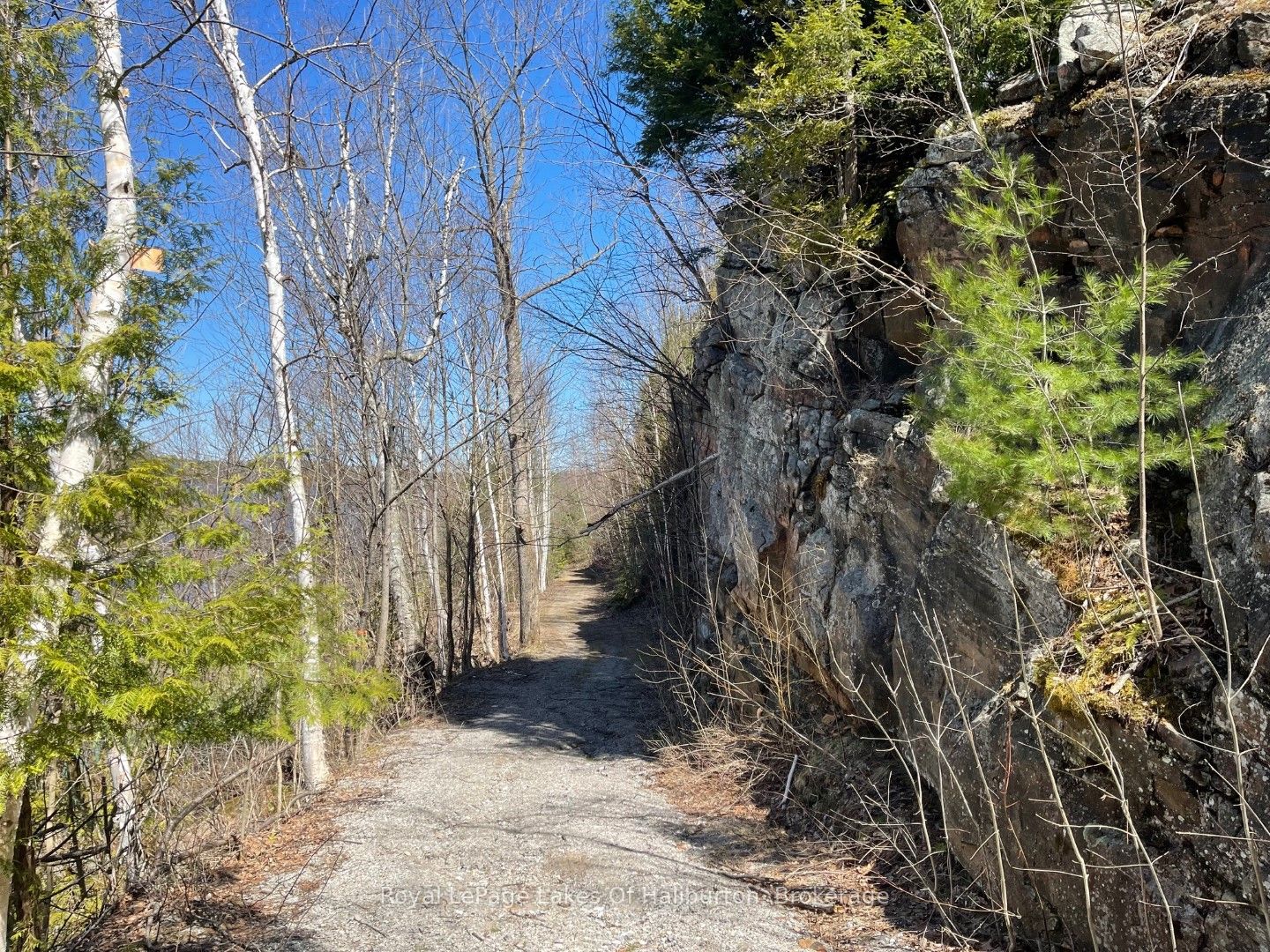 0 Starlight Road Property Photo 25