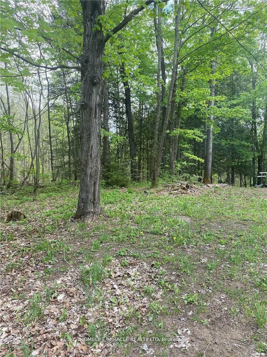 3460 Harburn Road Property Photo 1