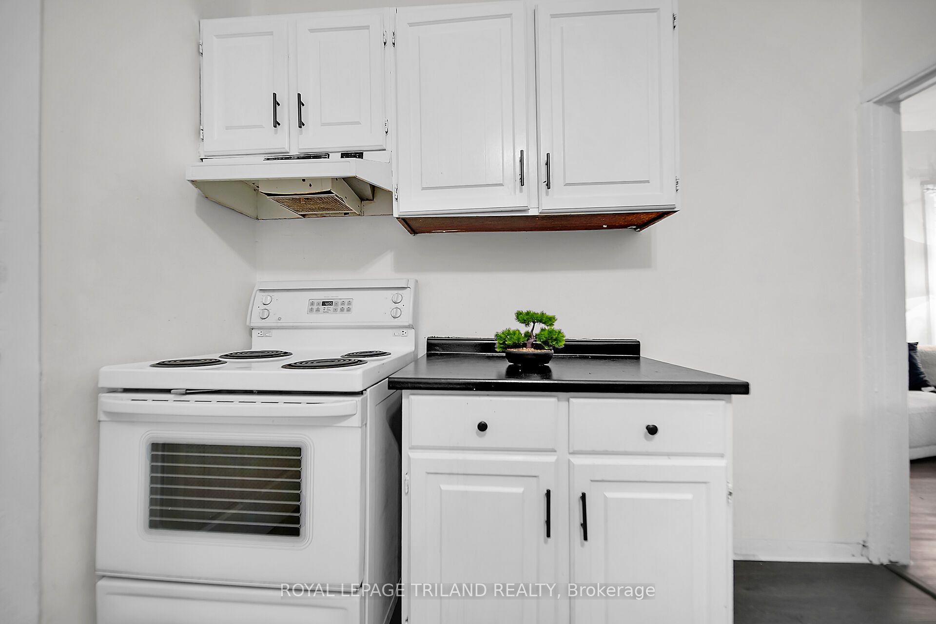 789 Little Hill Street Property Photo 11