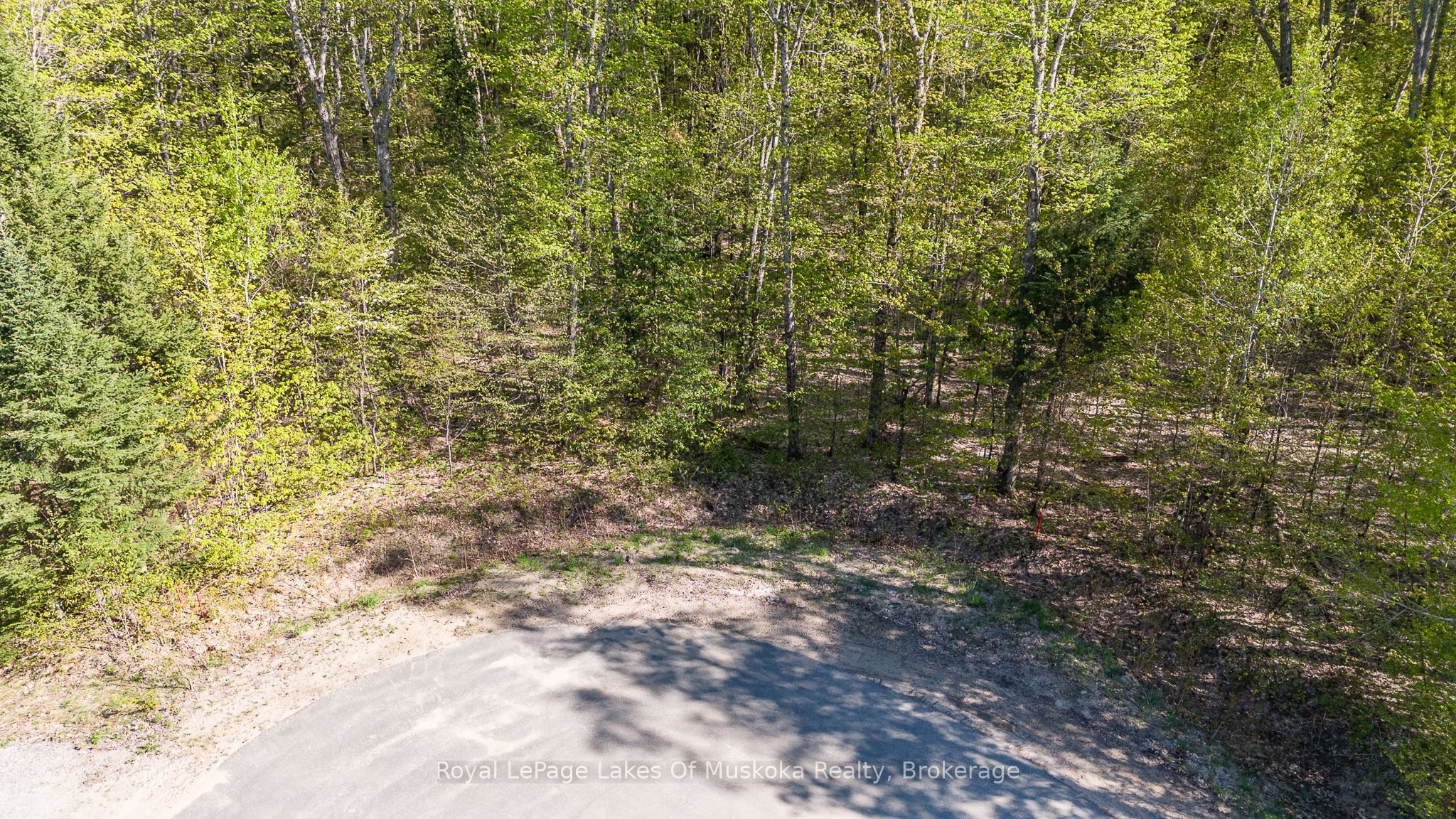 Lot 2 Riverside Drive Property Photo 1
