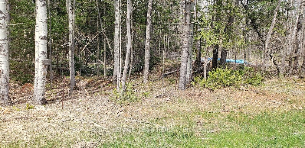 000 Burnstown Road Property Photo 1