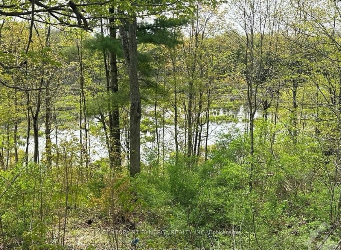 22823 Hwy 7 Property Photo 6