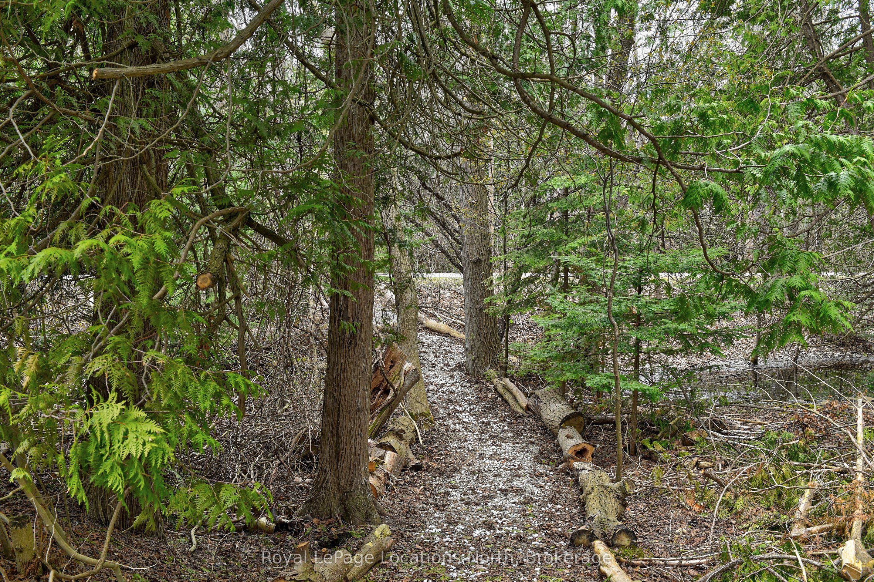 208554 26 Highway Property Photo 31