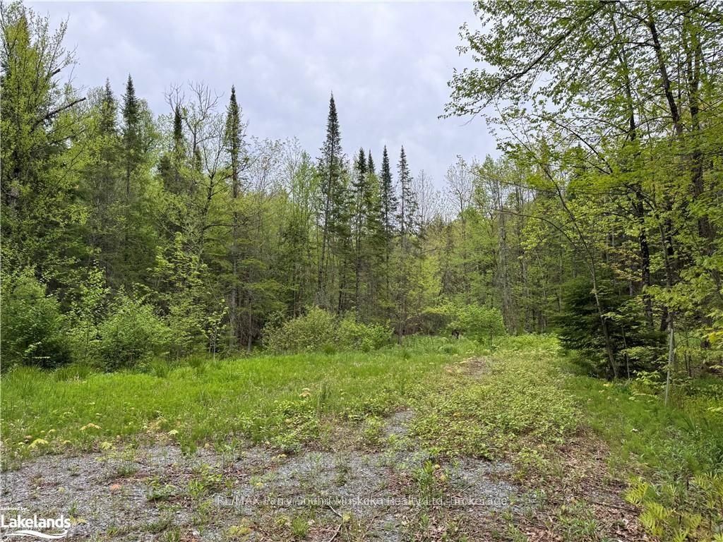 64 Woodland Dr Property Photo