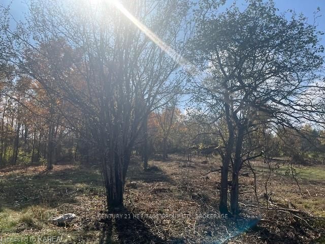 2183 Unity Road Property Photo 1