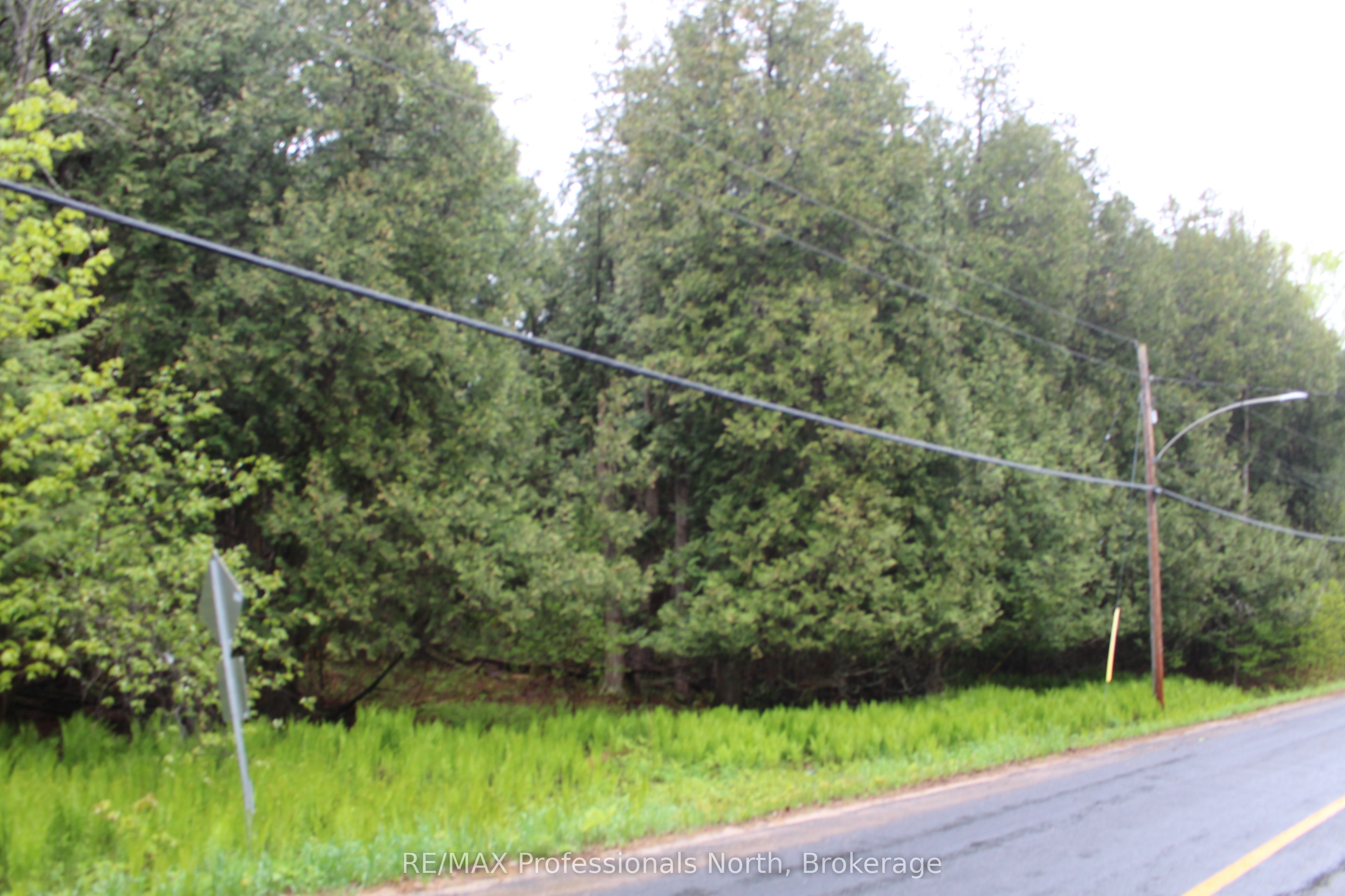 0 Kashagawigamog Lake Road Property Photo 2