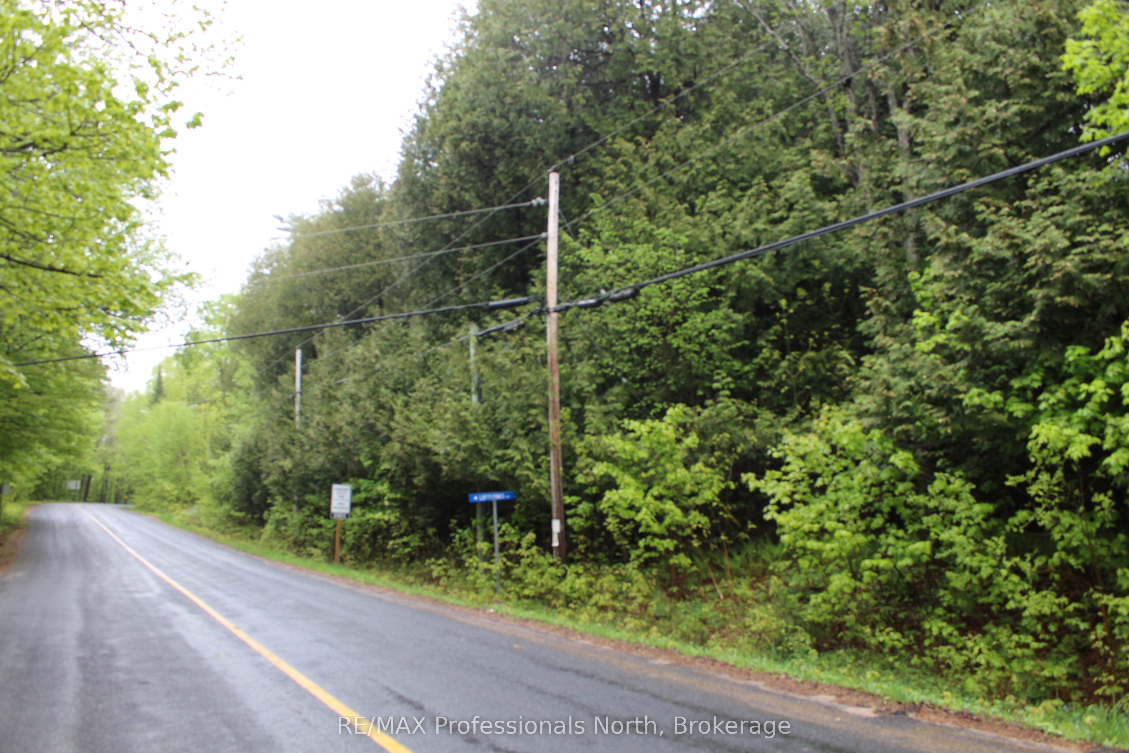 0 Kashagawigamog Lake Road Property Photo 3