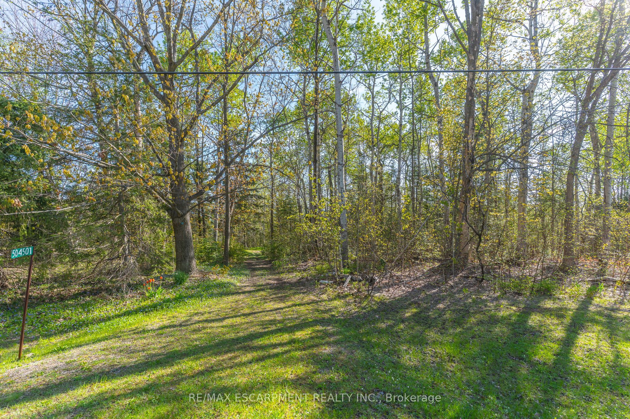 504499 Grey 1st Rd Property Photo 7