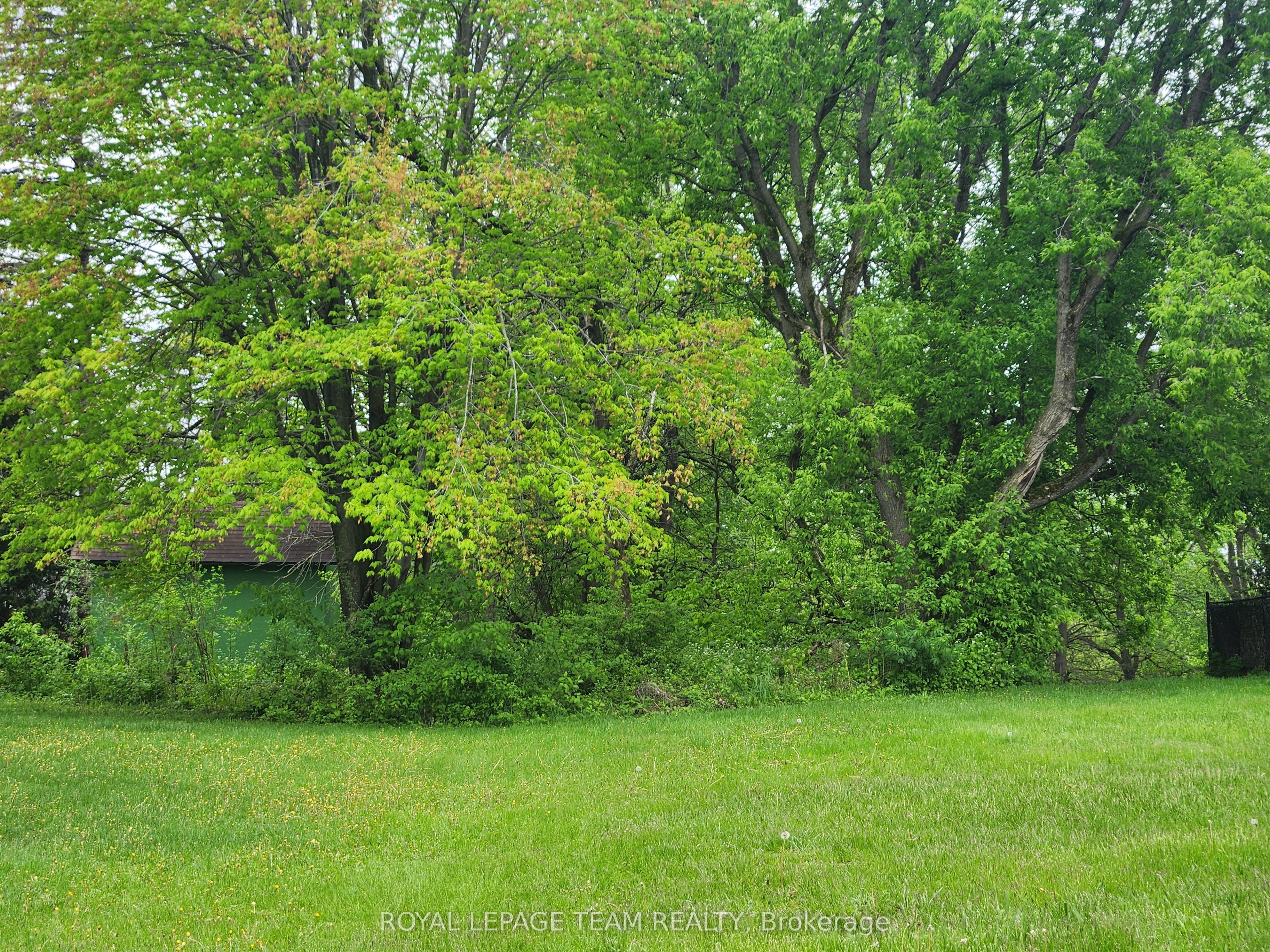 3787 Carp Road Property Photo 11