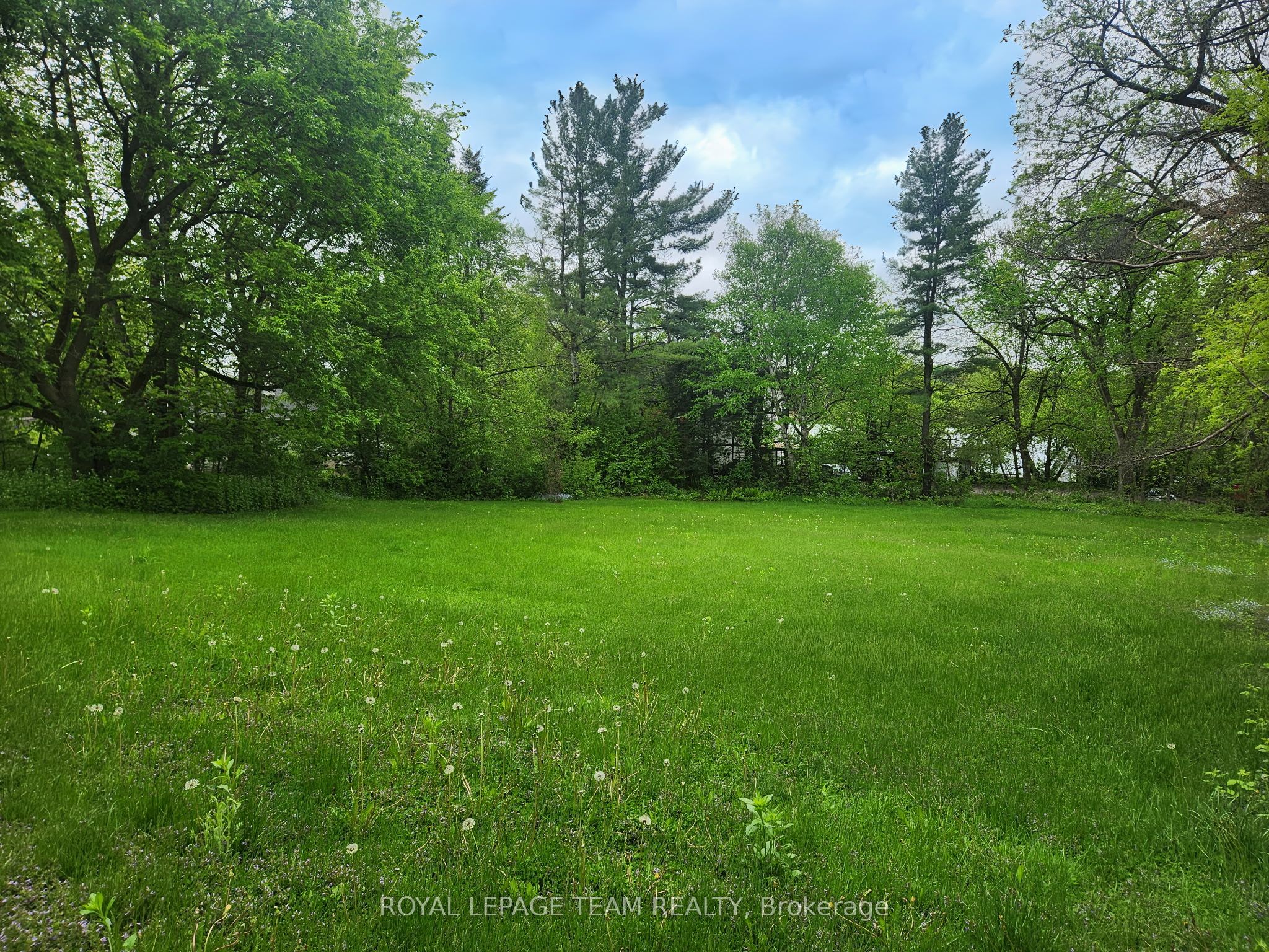 3787 Carp Road Property Photo 12