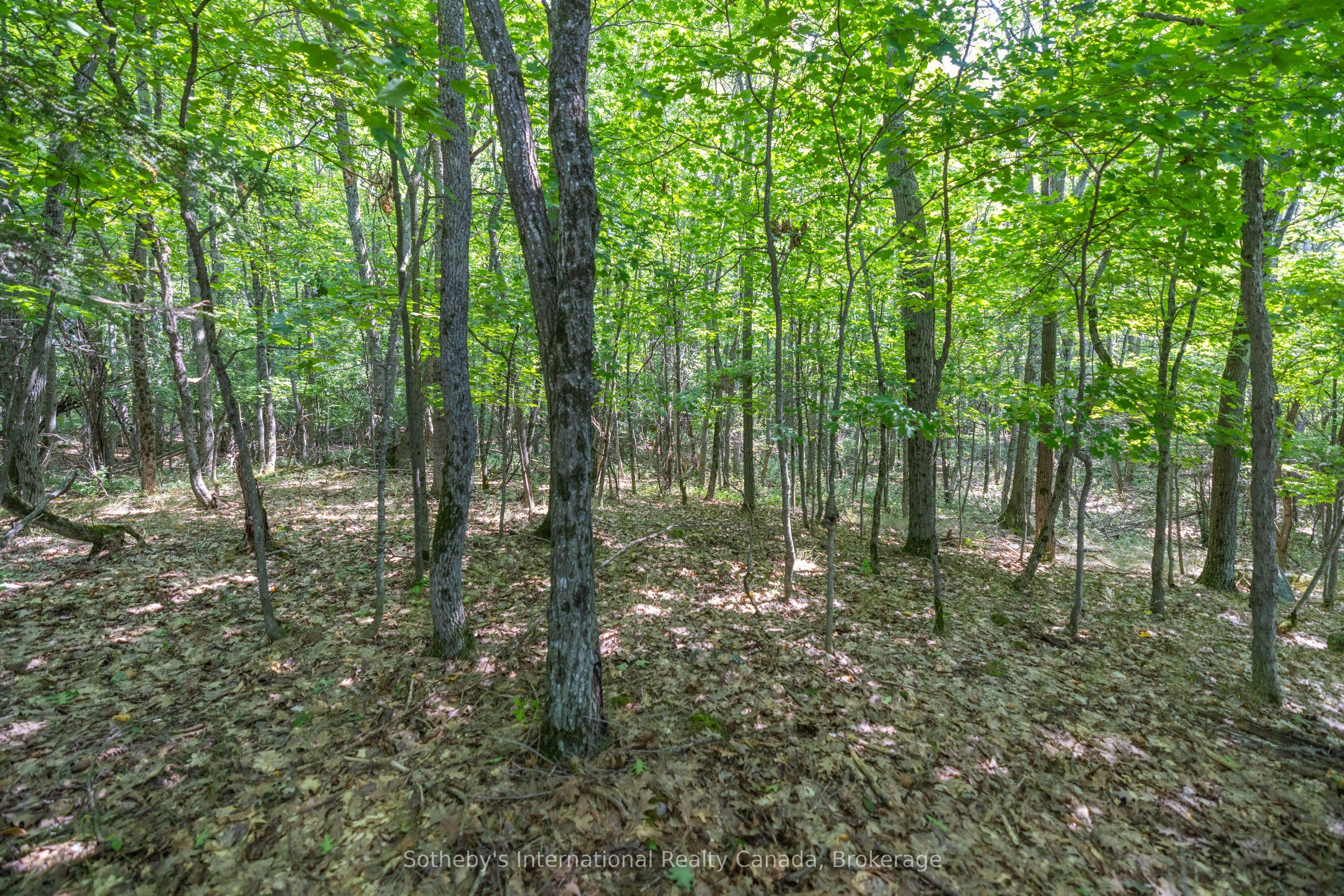 1124 Coate Rd Property Photo 27