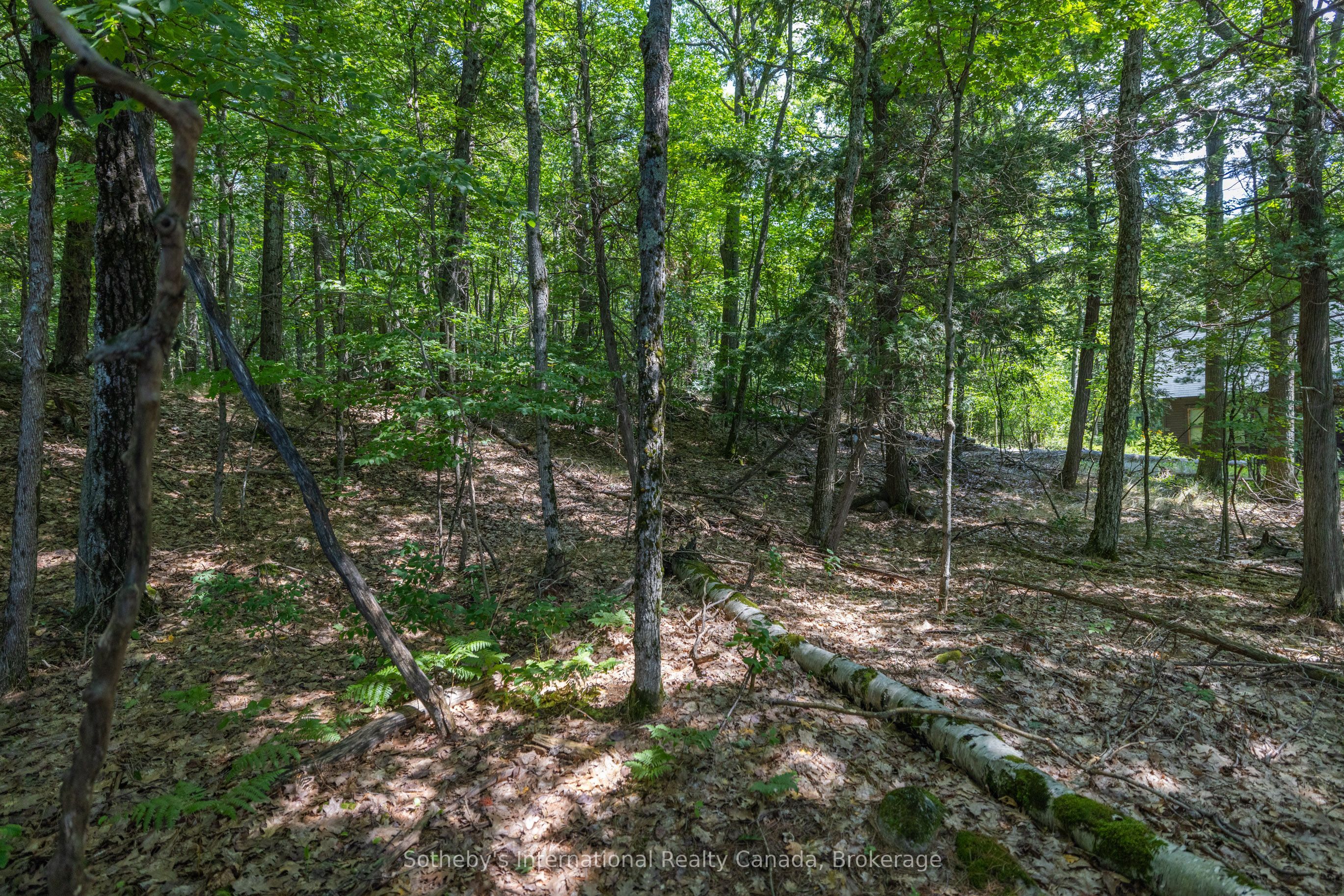 1124 Coate Rd Property Photo 28