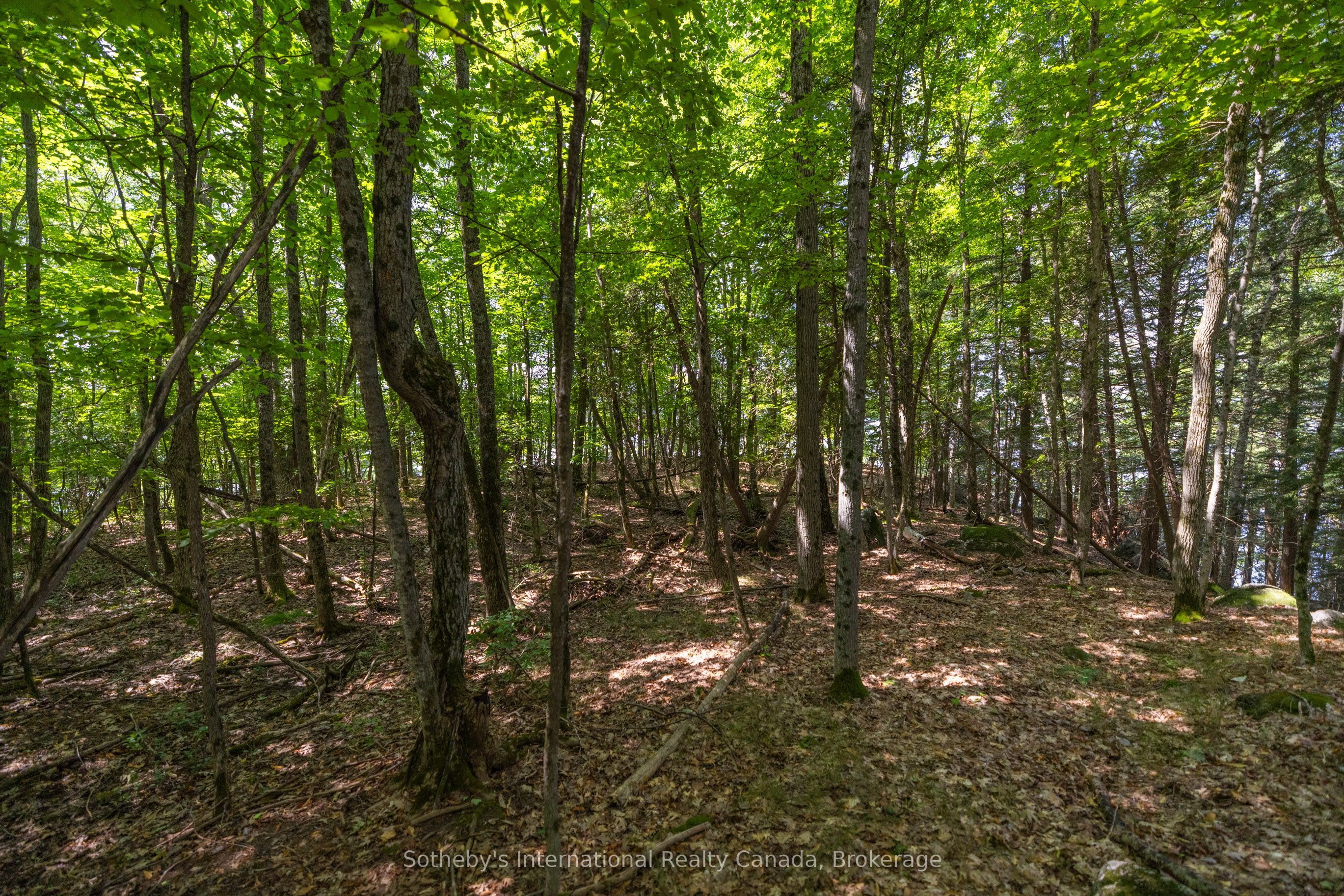 1124 Coate Rd Property Photo 29