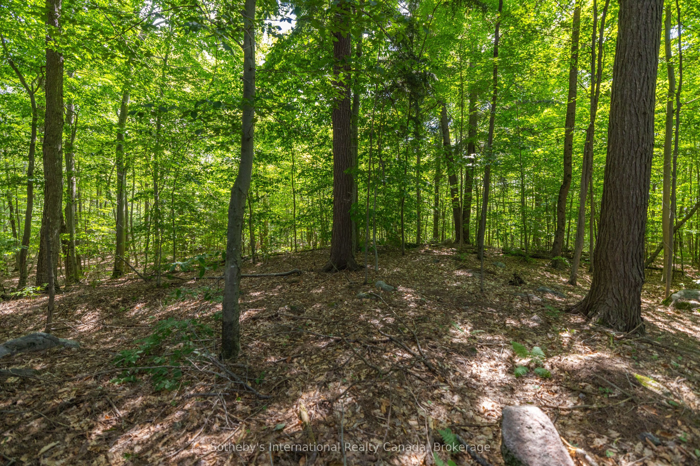 1124 Coate Rd Property Photo 30