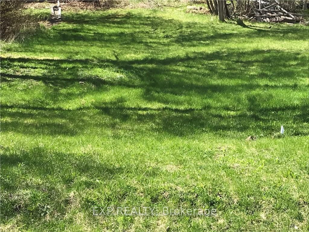 10 King Street Property Photo 1
