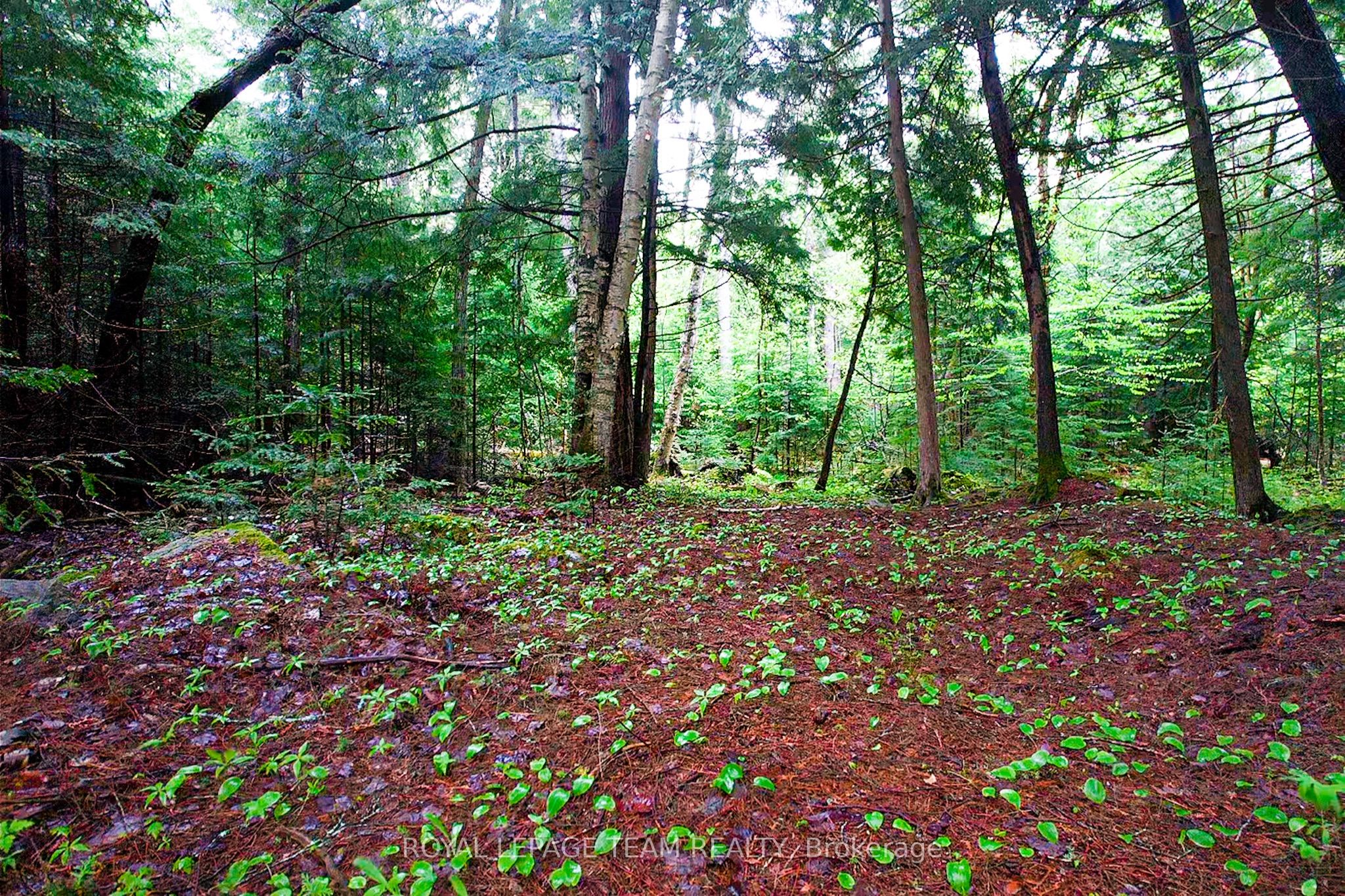- Biernacki Mountain Road Property Photo 3