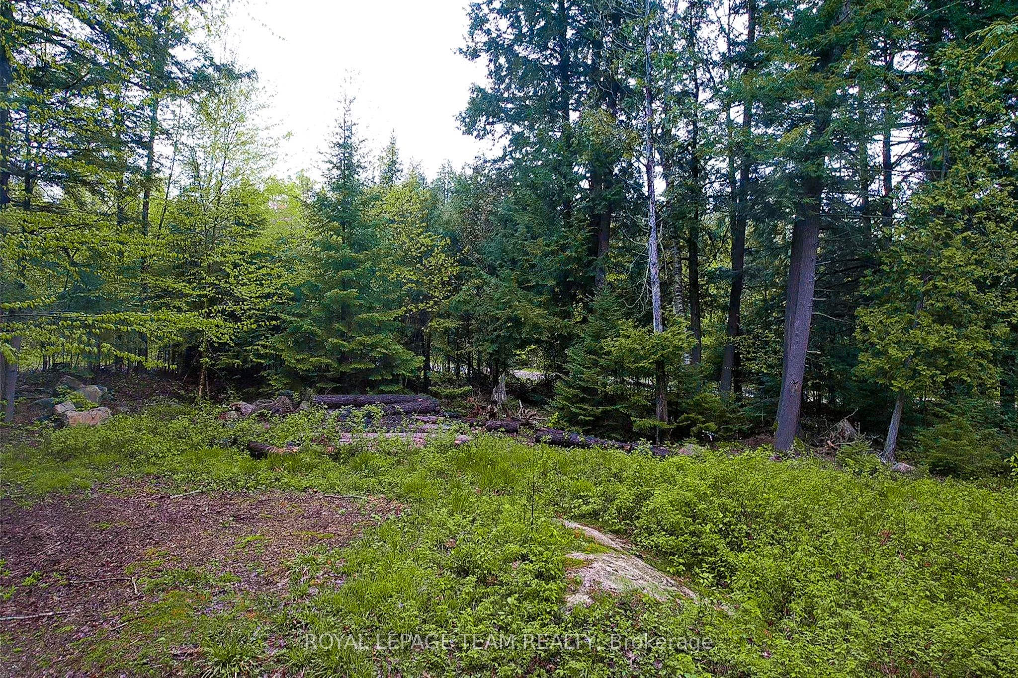 - Biernacki Mountain Road Property Photo 6