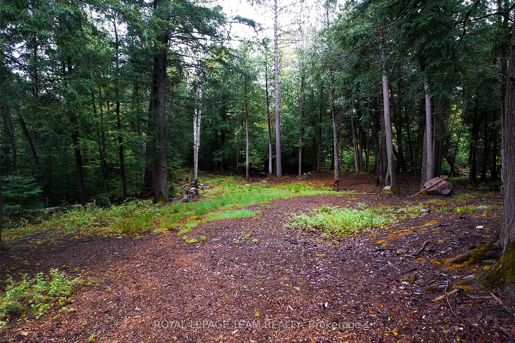 - Biernacki Mountain Road Property Photo 7