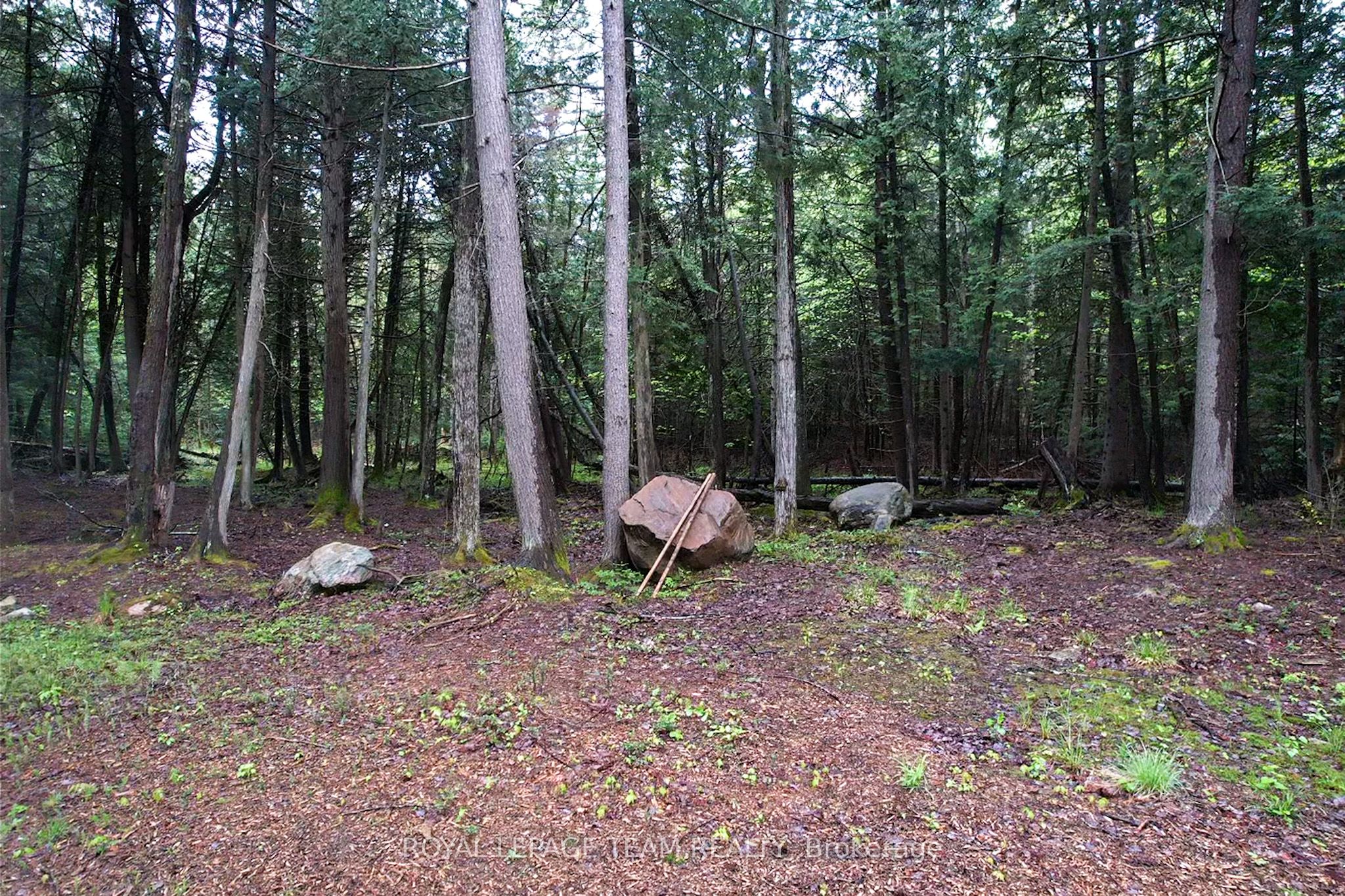 - Biernacki Mountain Road Property Photo 9