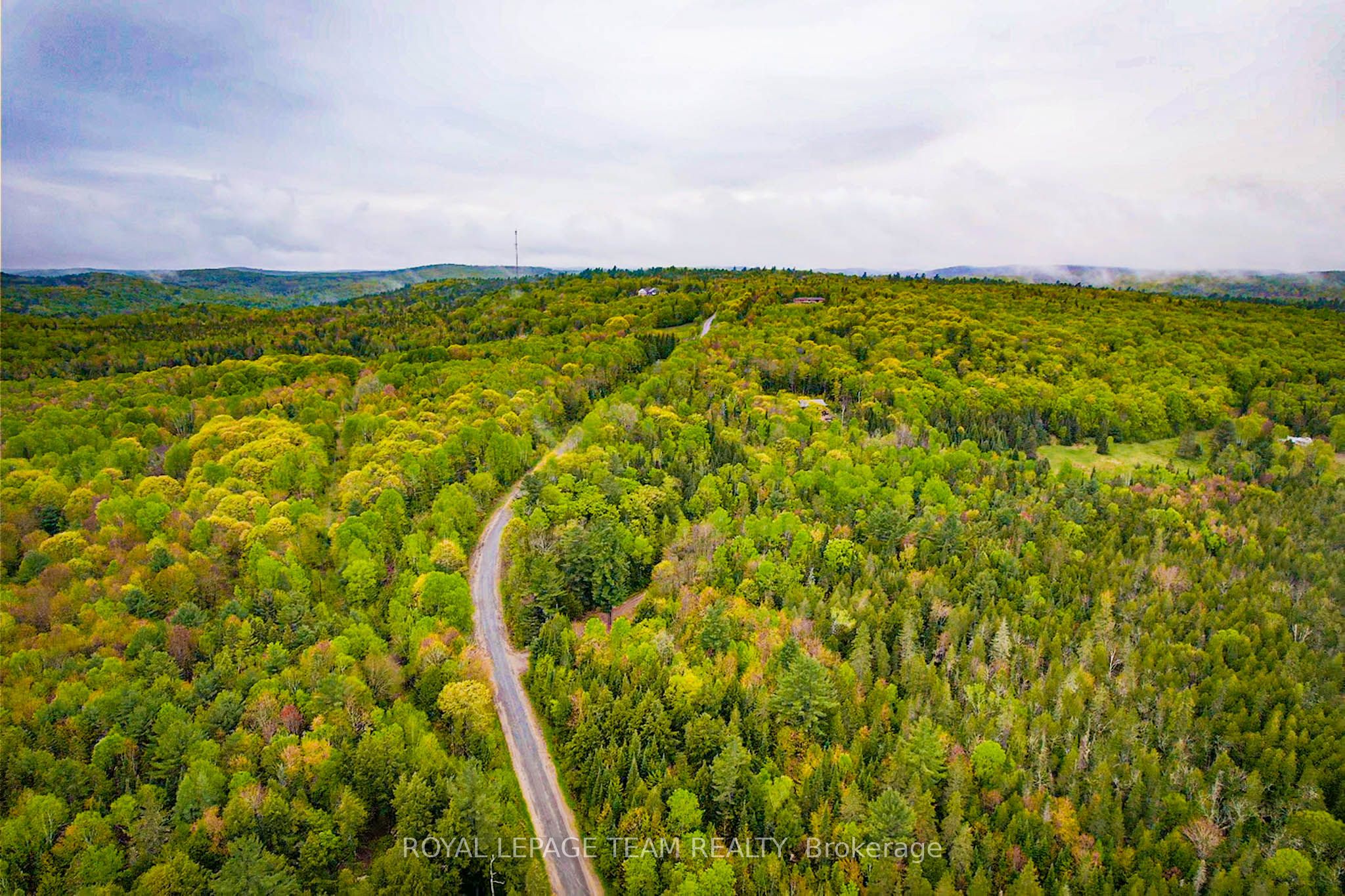 - Biernacki Mountain Road Property Photo 10