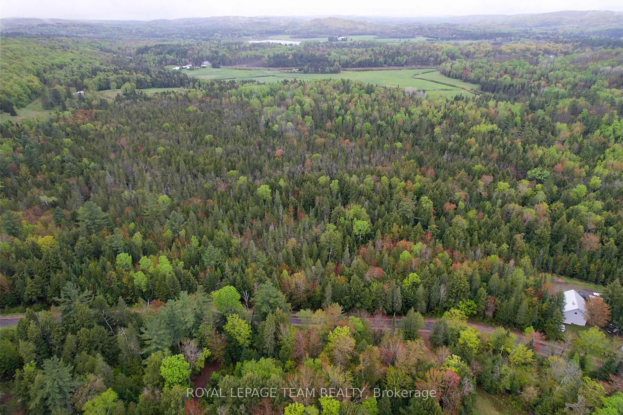 - Biernacki Mountain Road Property Photo 11