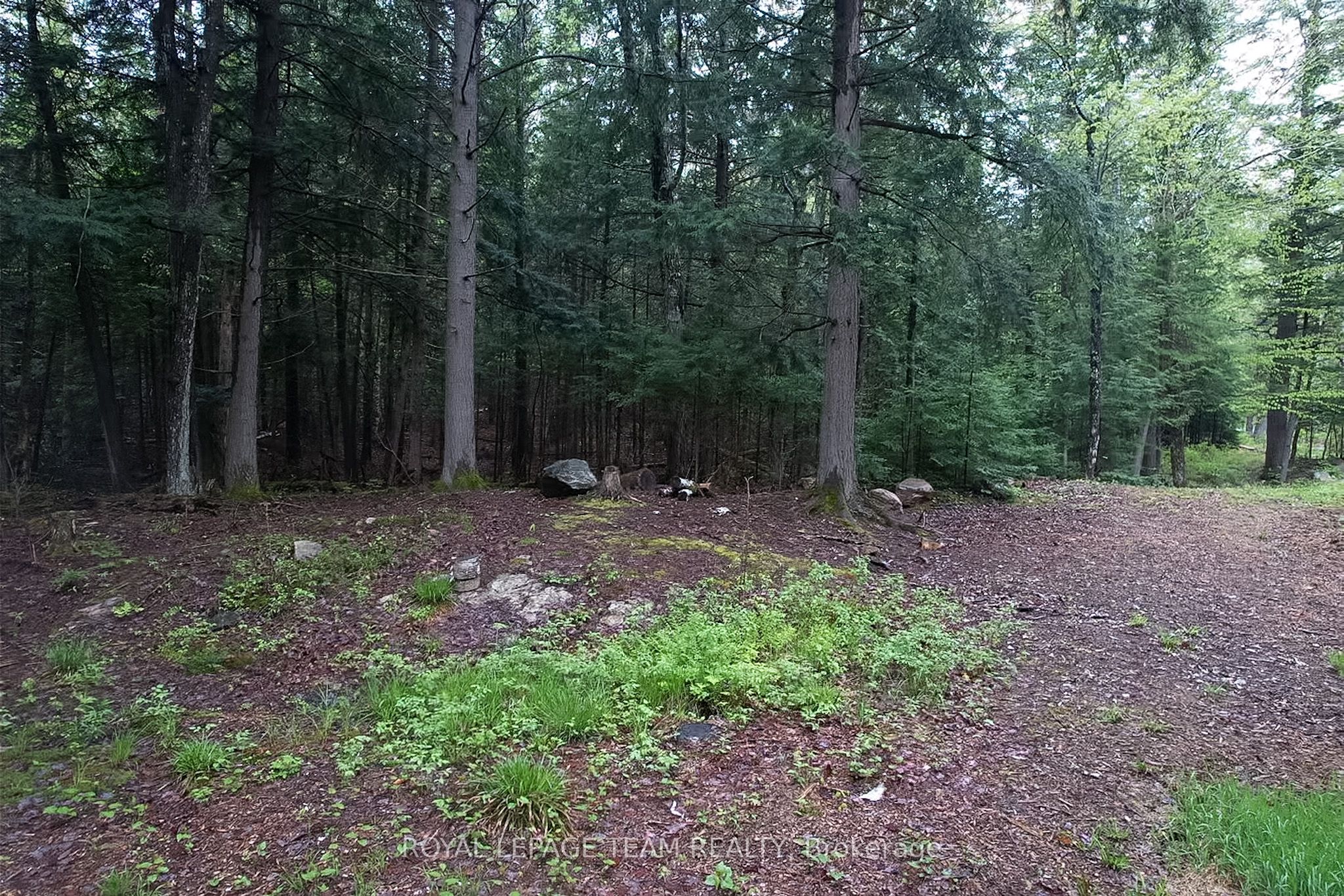 - Biernacki Mountain Road Property Photo 12