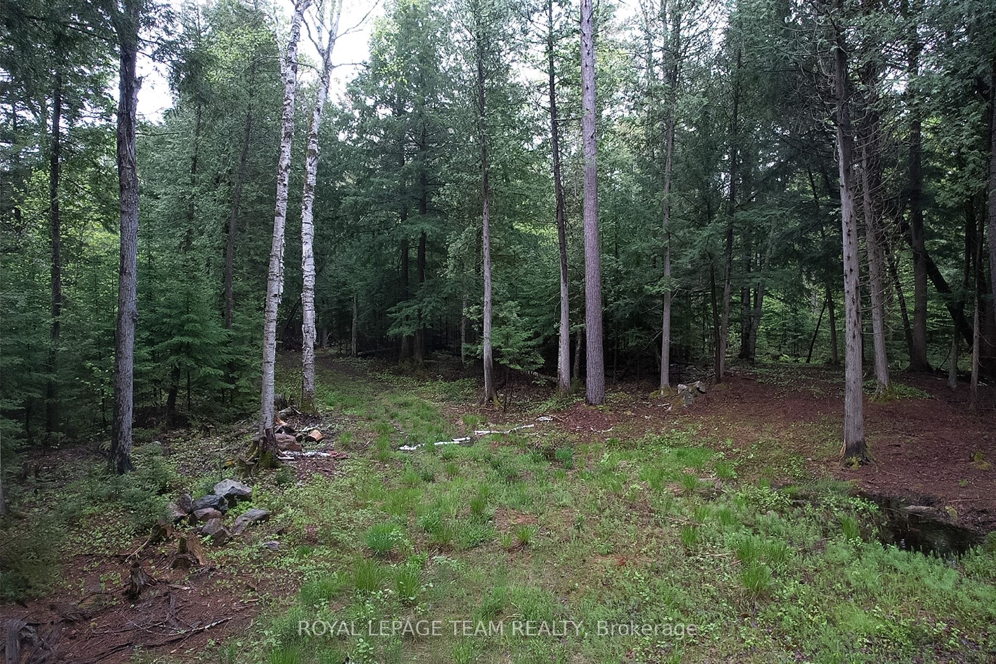 - Biernacki Mountain Road Property Photo 13