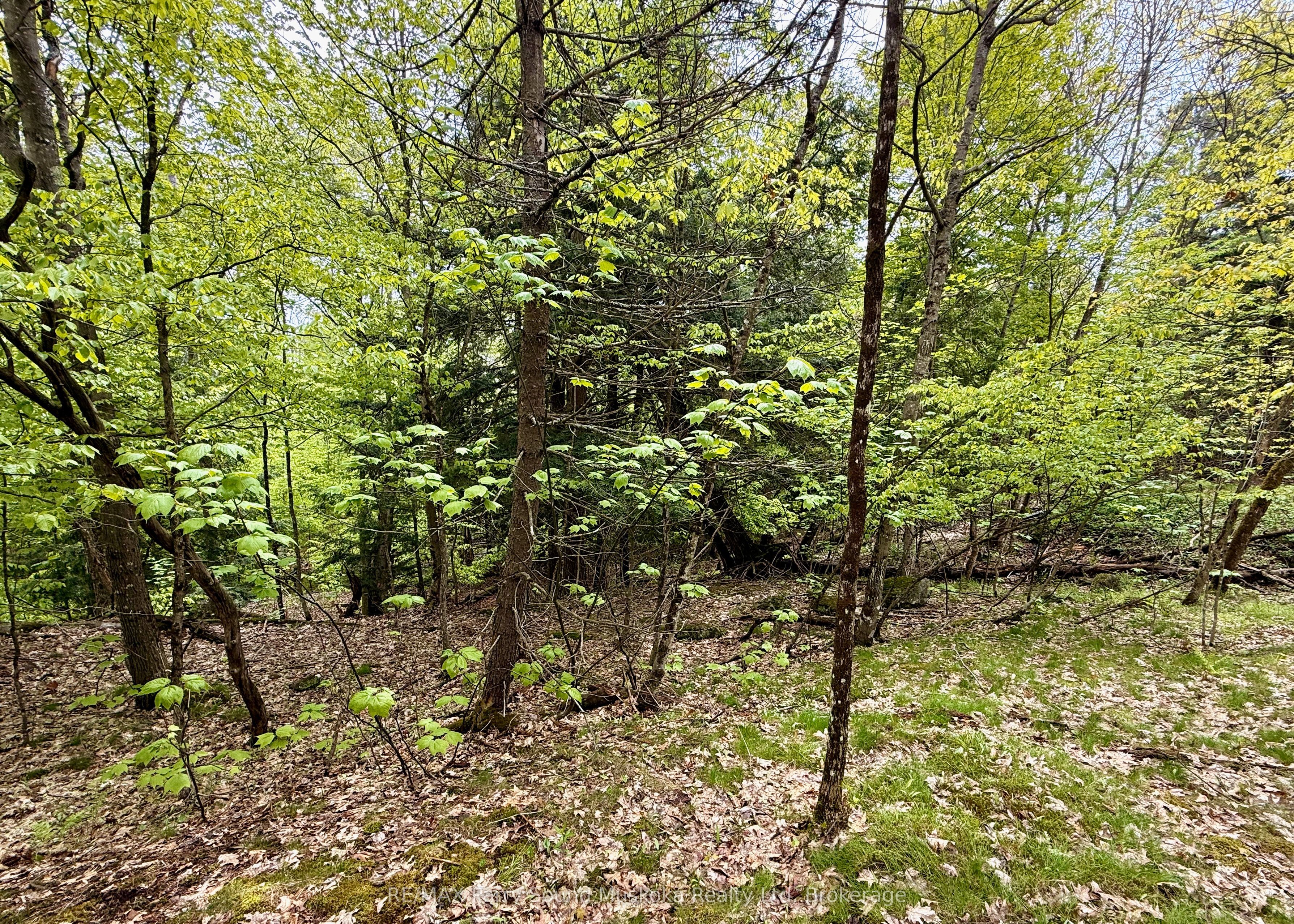 13 Harrison Landing Rd Property Photo 2