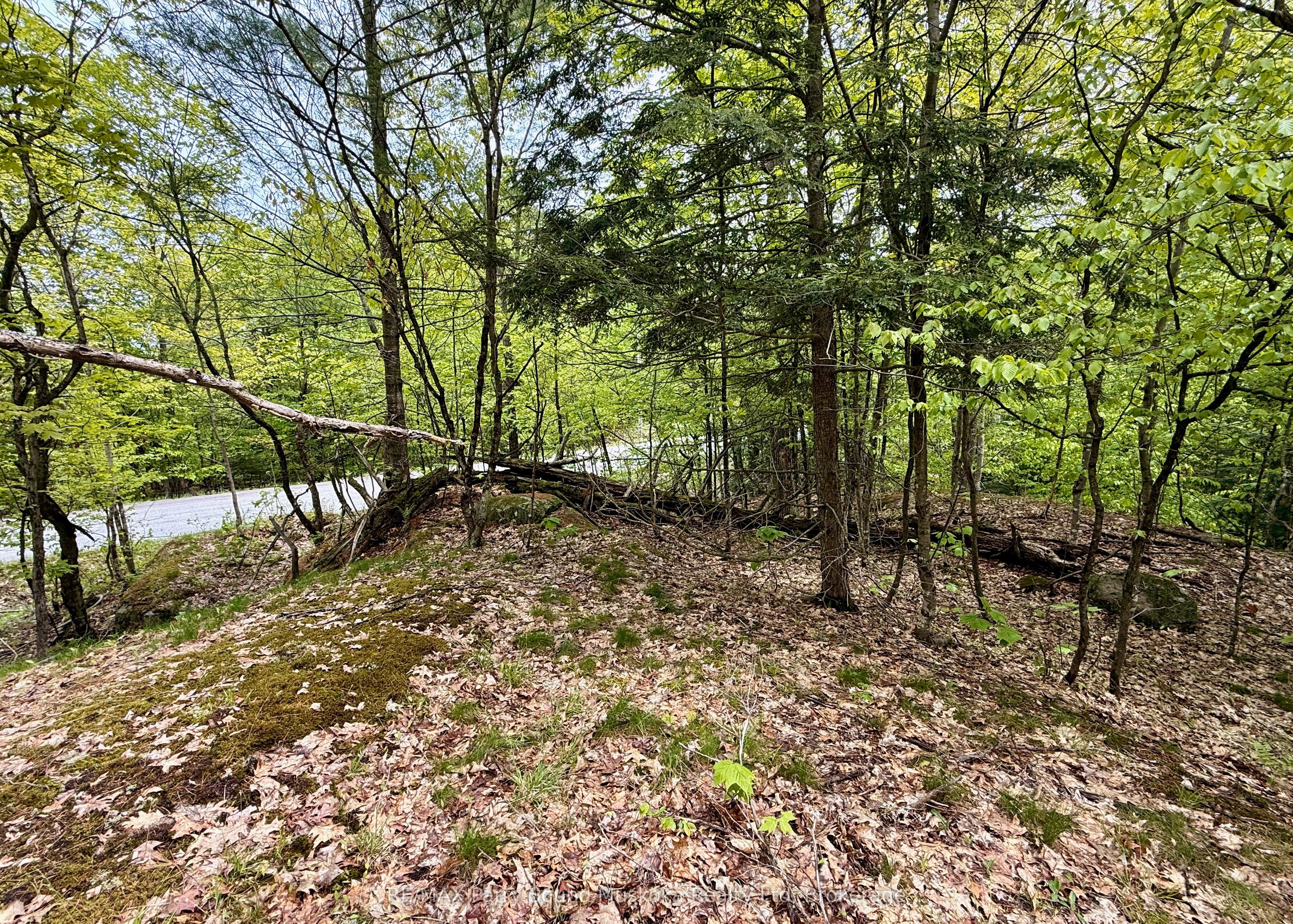 13 Harrison Landing Rd Property Photo 3