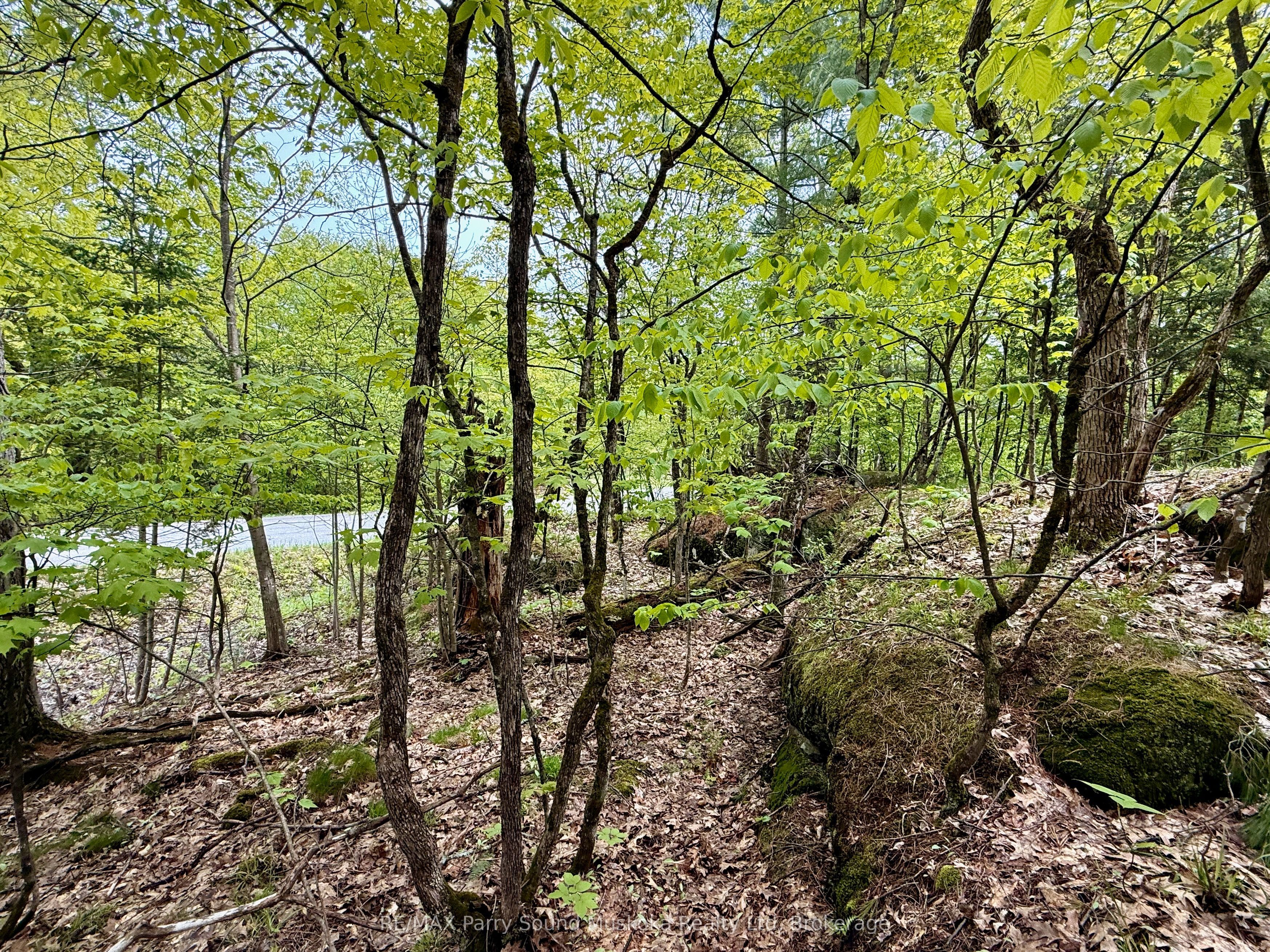 13 Harrison Landing Rd Property Photo 5