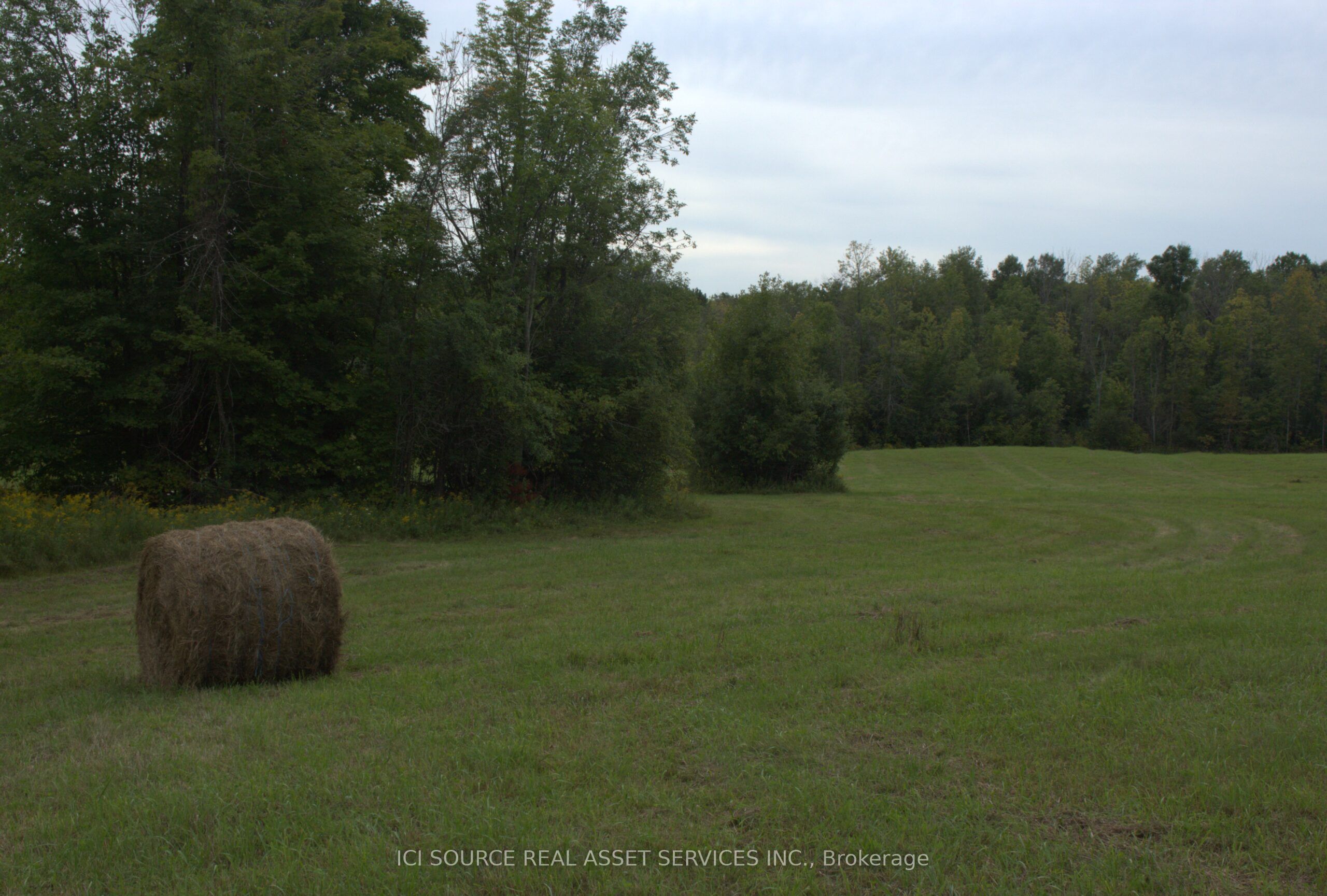 4 Moran Rd Property Photo 4