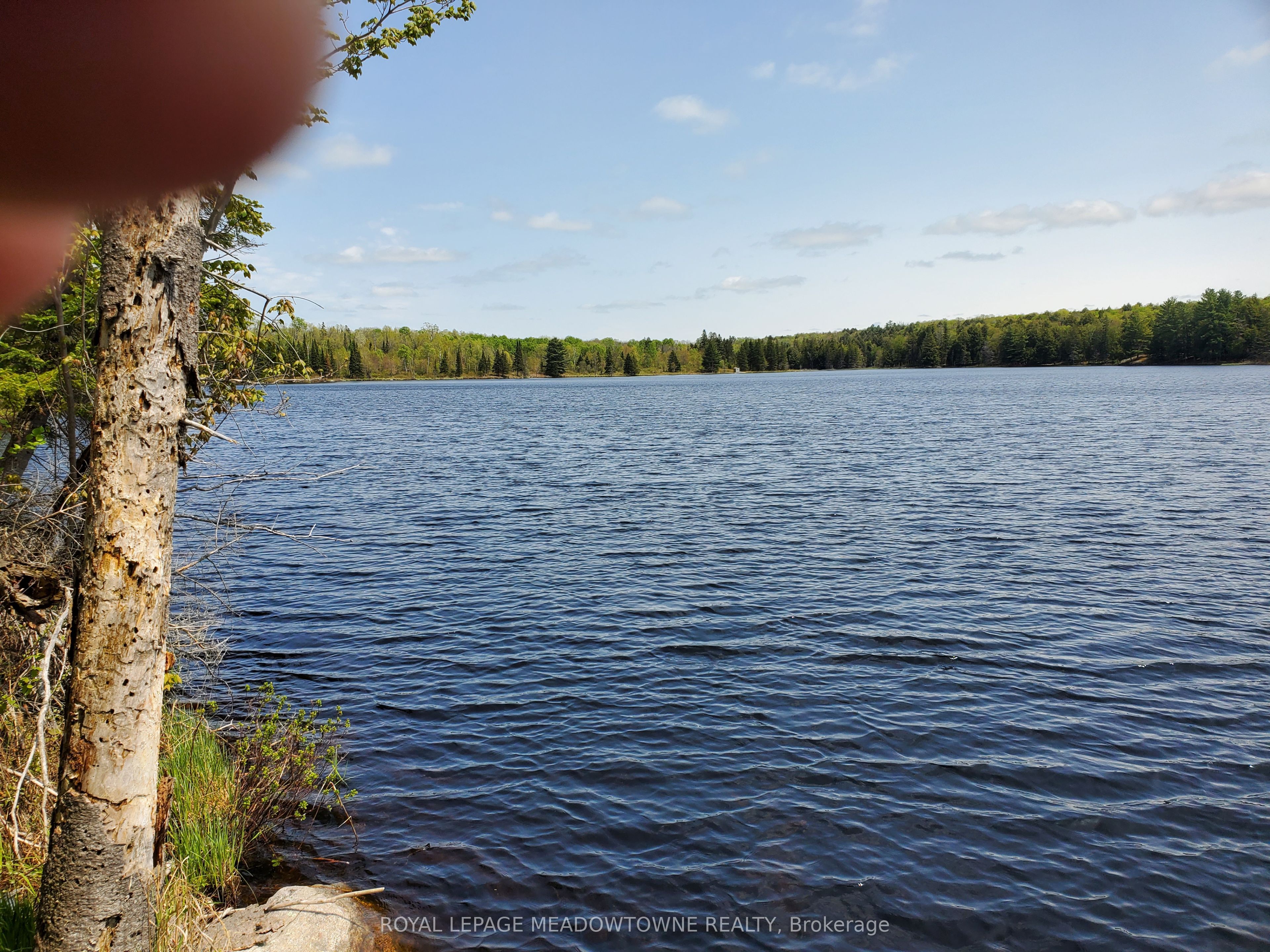 Part 3 Cadden Lake Property Photo 5