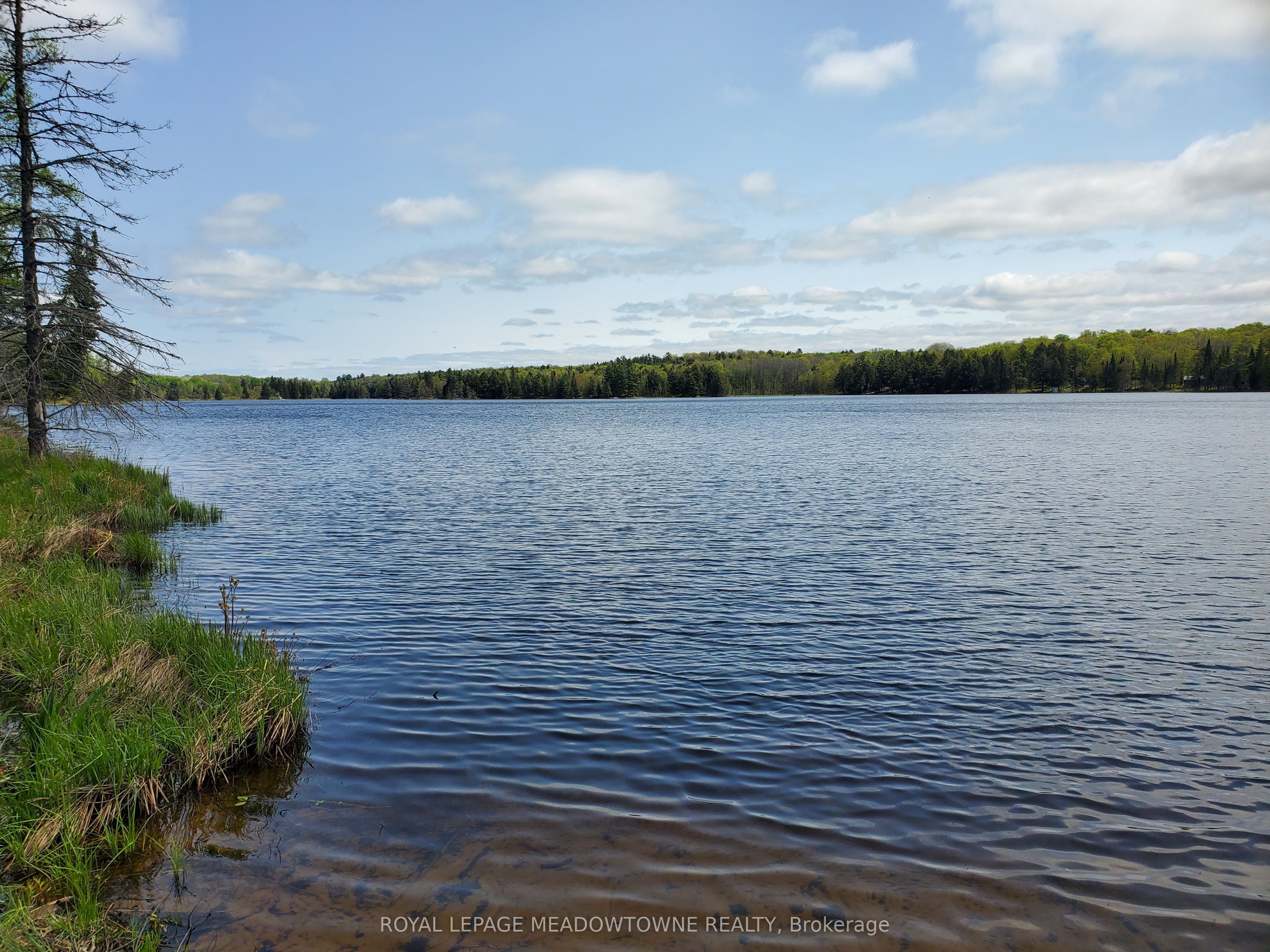 Part 3 Cadden Lake Property Photo 6