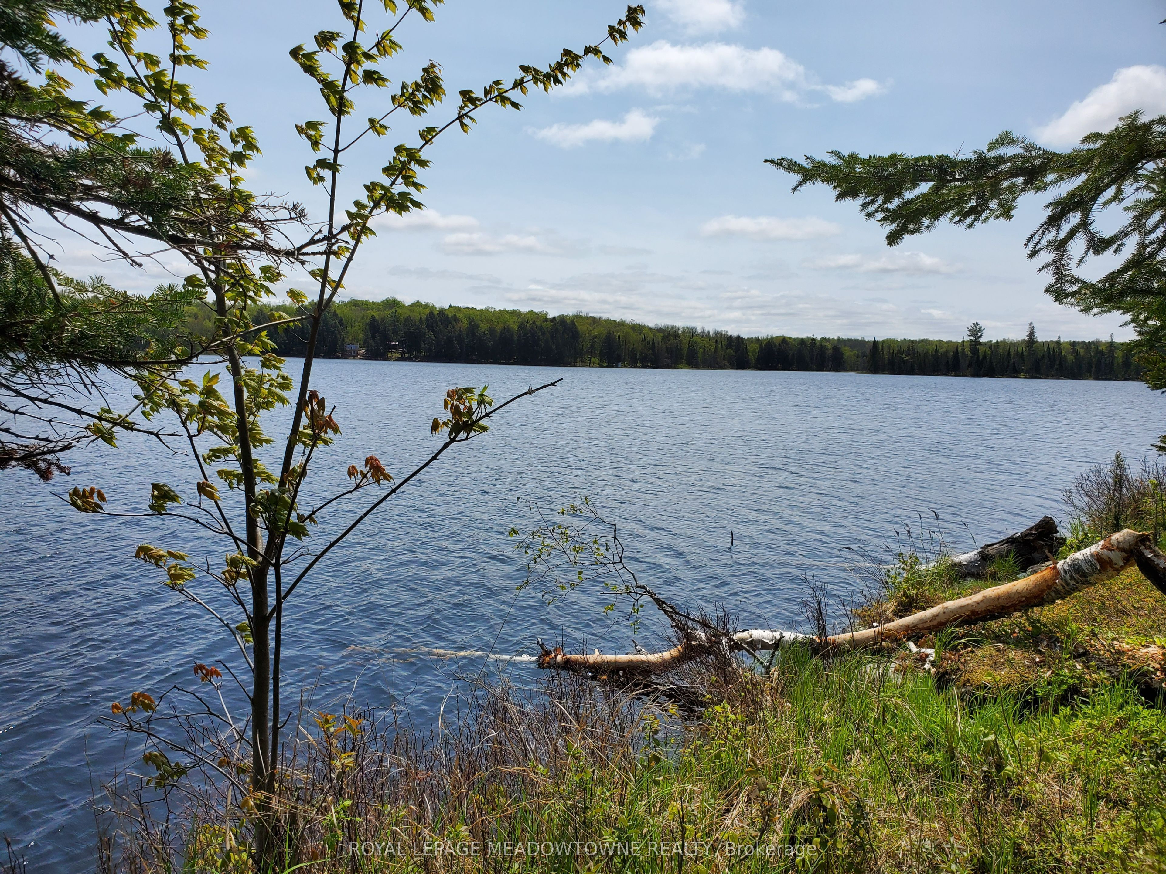 Part 3 Cadden Lake Property Photo 8