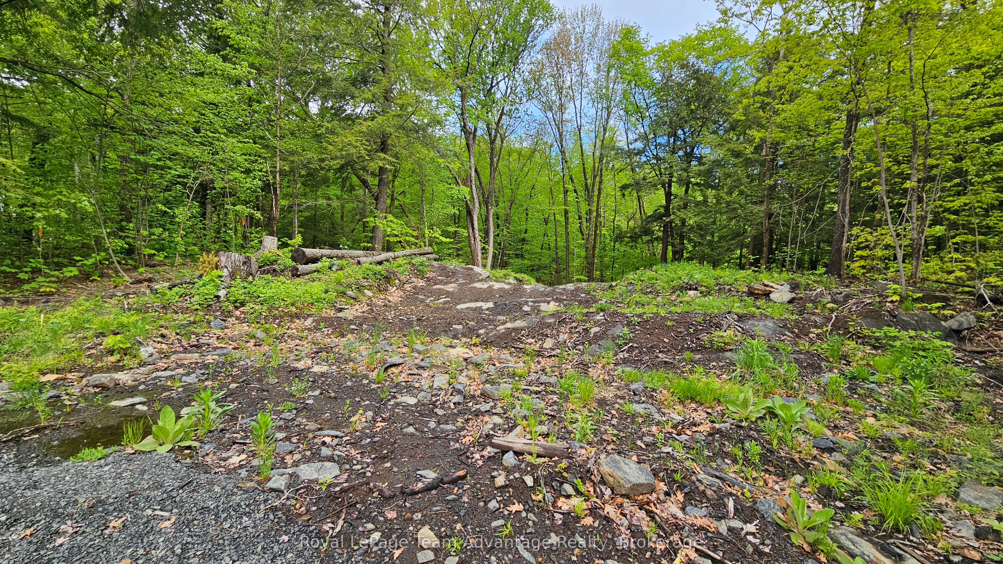 31 Pinewood Road Property Photo 13