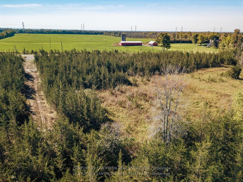 3311 Blessington Road Property Photo 5
