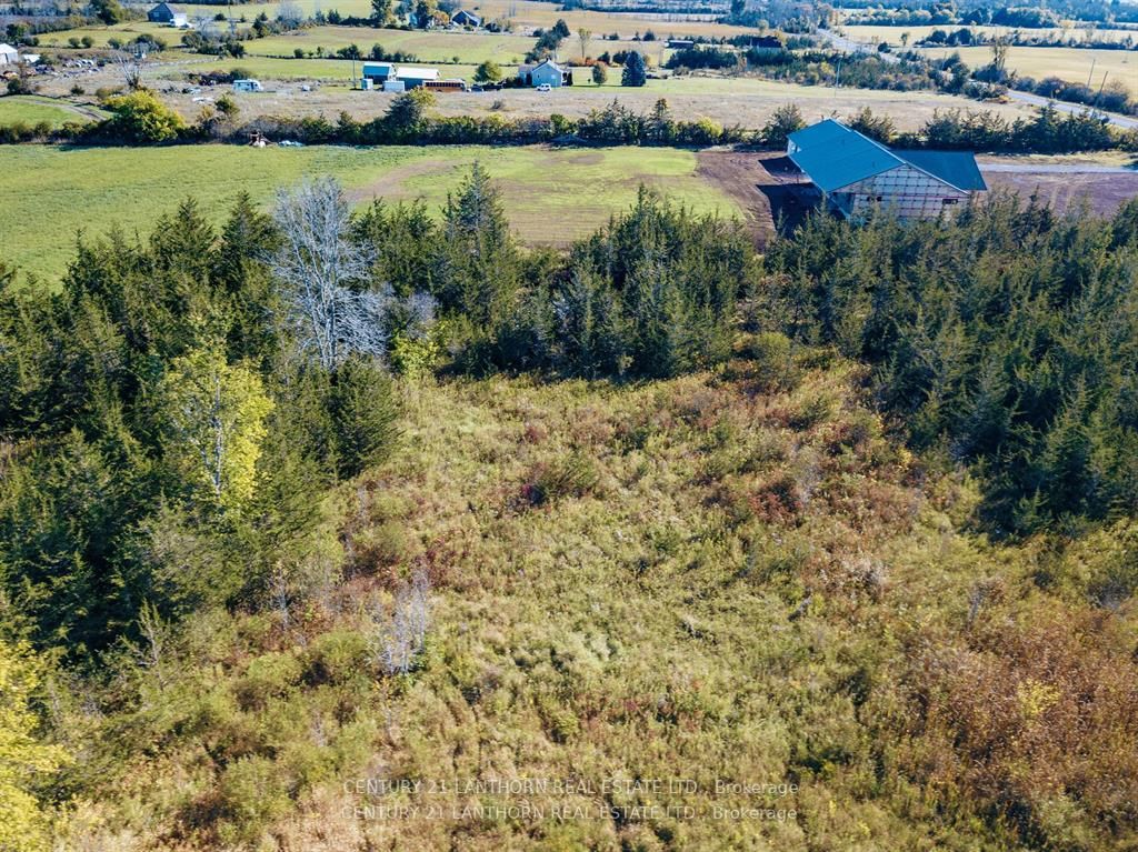 3311 Blessington Road Property Photo 7