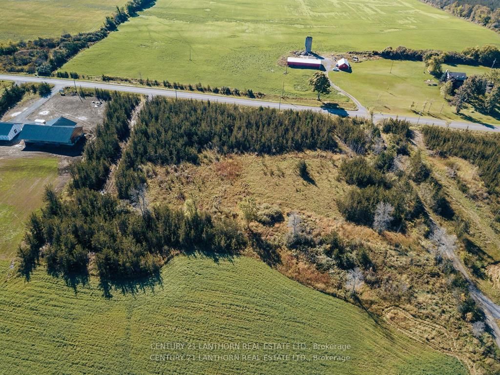 3311 Blessington Road Property Photo 9