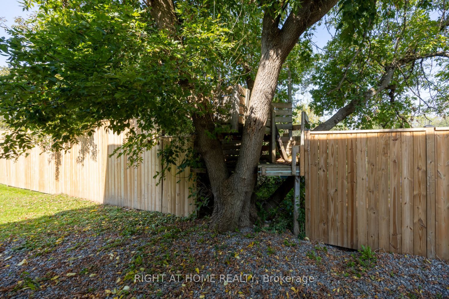 420 Parkhill Road Property Photo 6