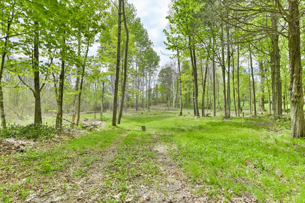 1465 Phillipston Rd Property Photo 4