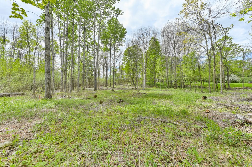 1465 Phillipston Rd Property Photo 5