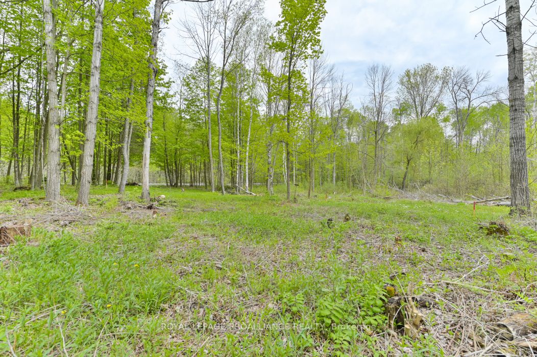 1465 Phillipston Rd Property Photo 6