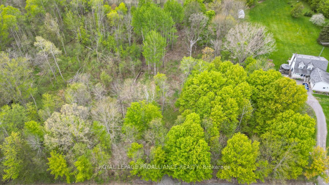 1465 Phillipston Rd Property Photo 7