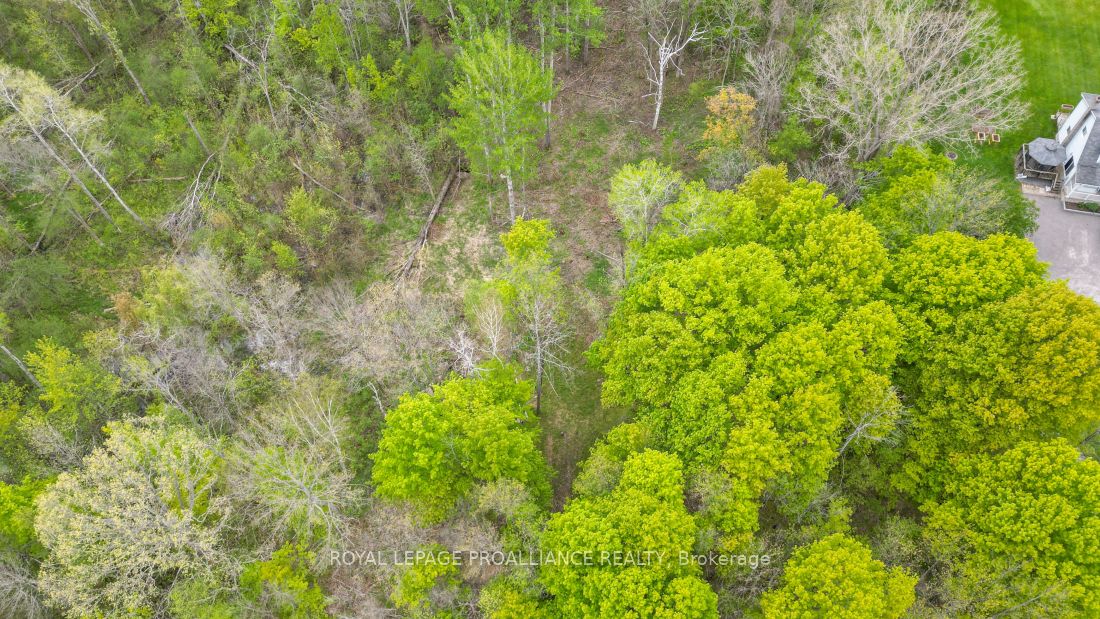 1465 Phillipston Rd Property Photo 8