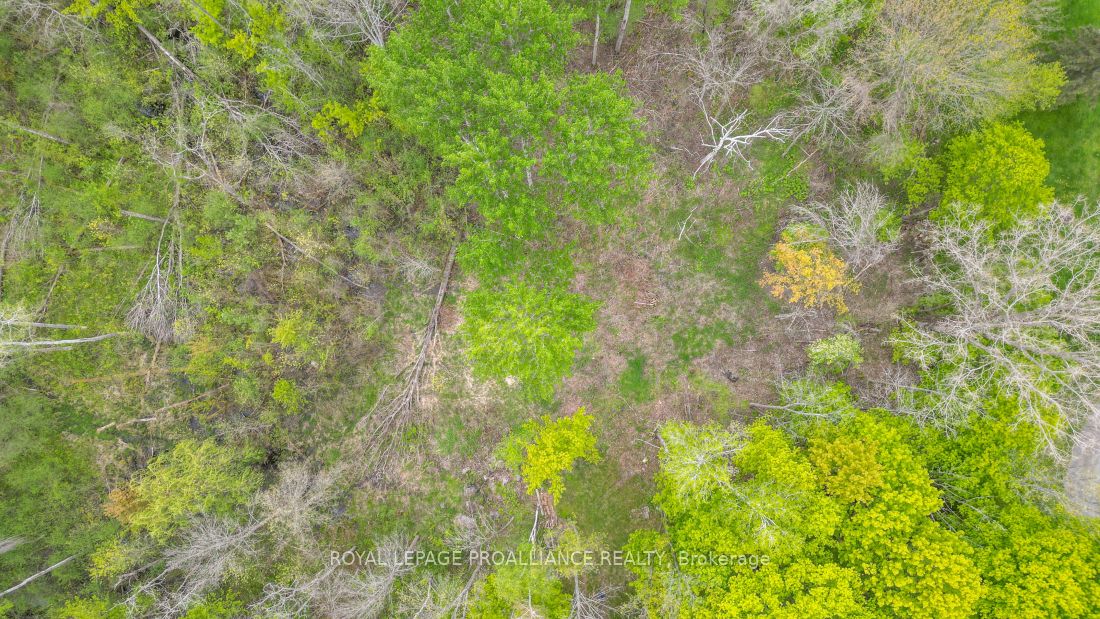 1465 Phillipston Rd Property Photo 10