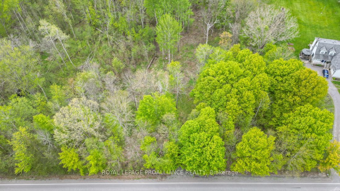 1465 Phillipston Rd Property Photo 13