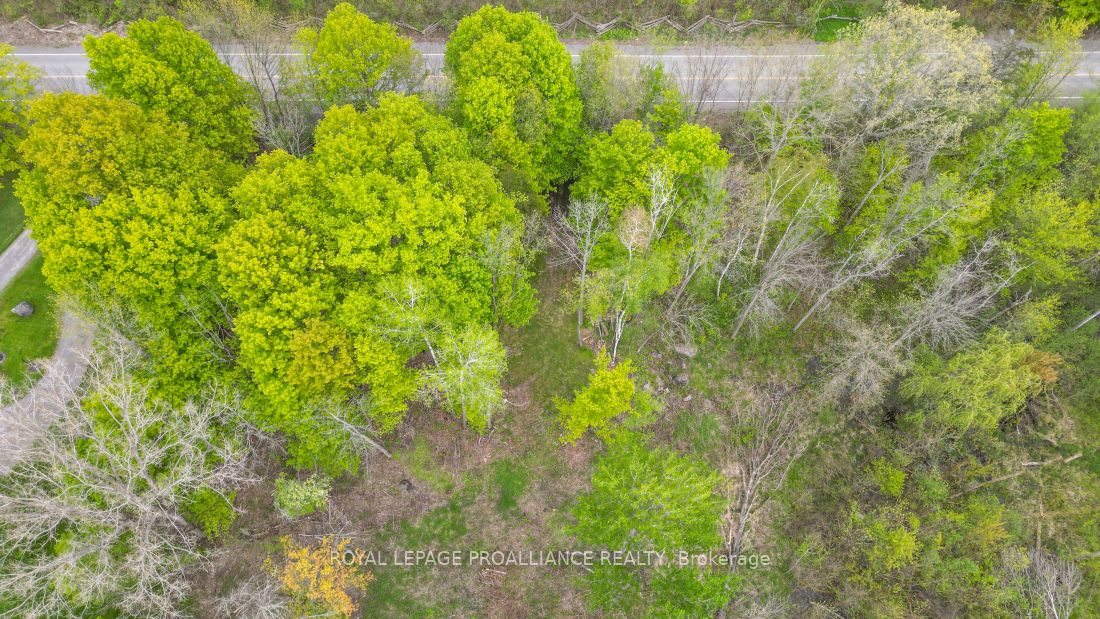 1465 Phillipston Rd Property Photo 15