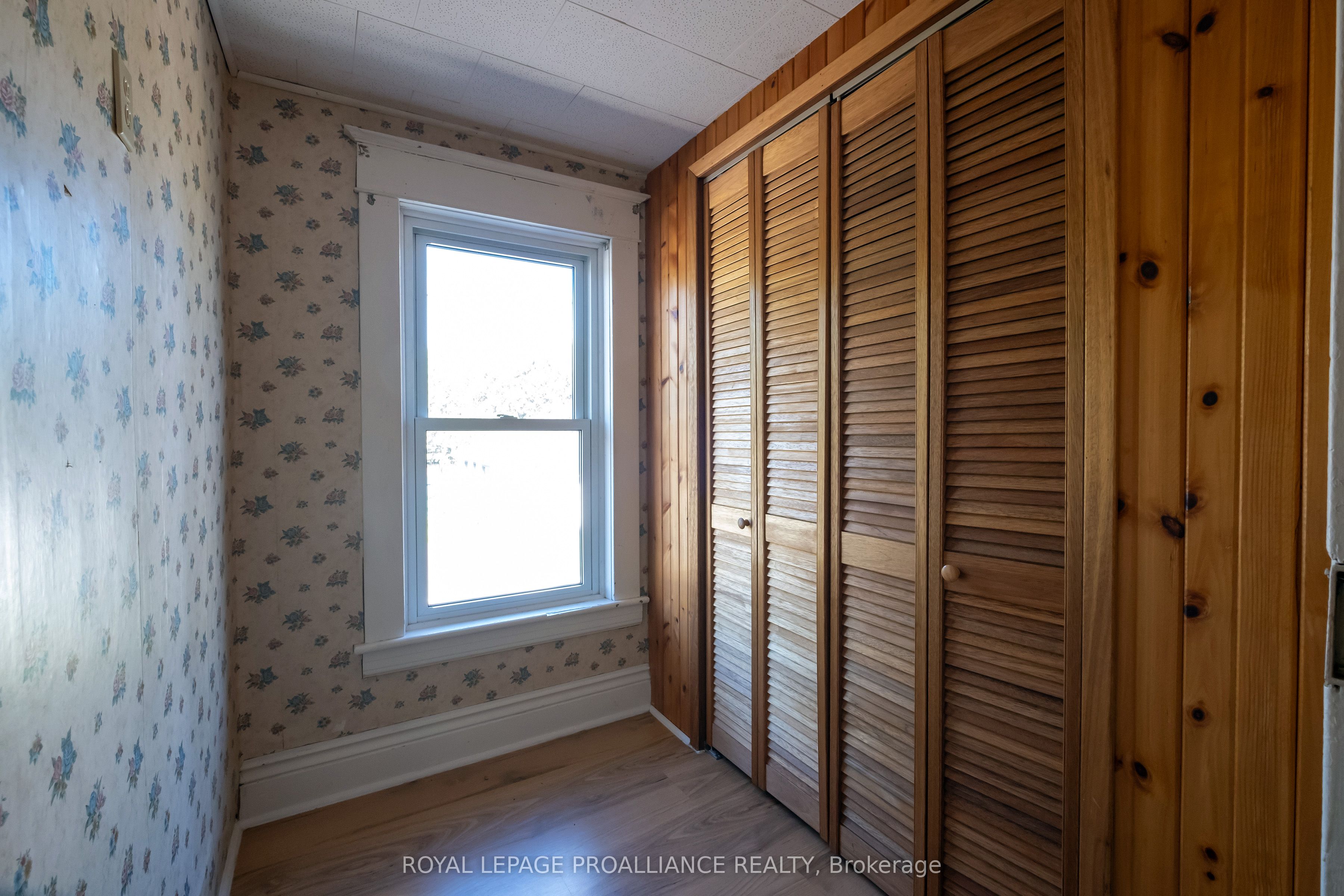 5 Albion Street Property Photo 19